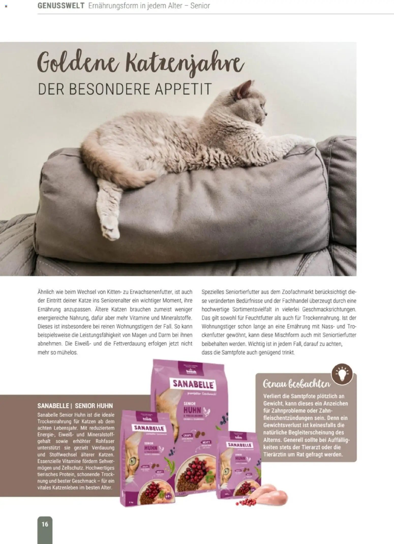 zookauf Themenkatalog Katze