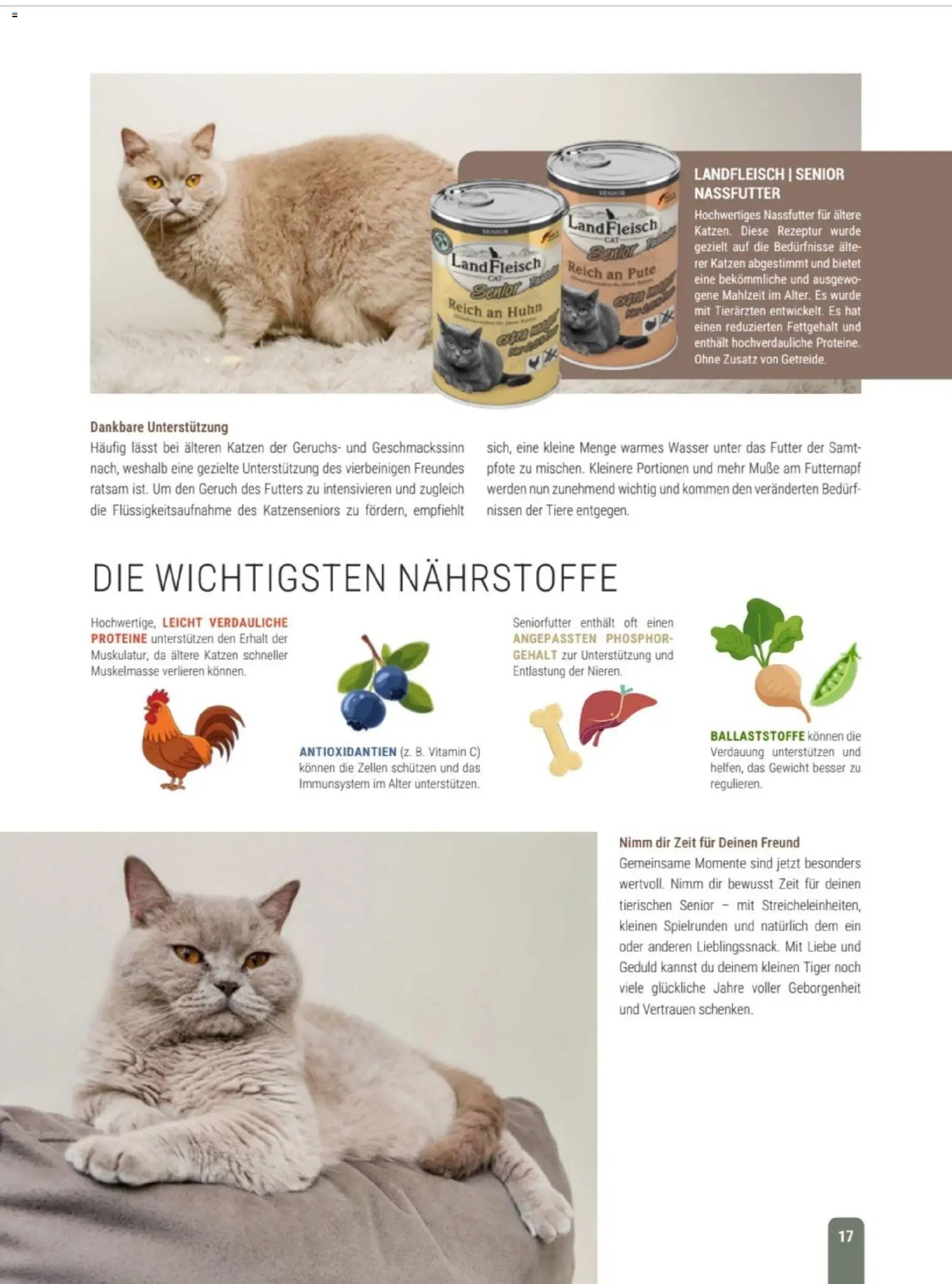 zookauf Themenkatalog Katze