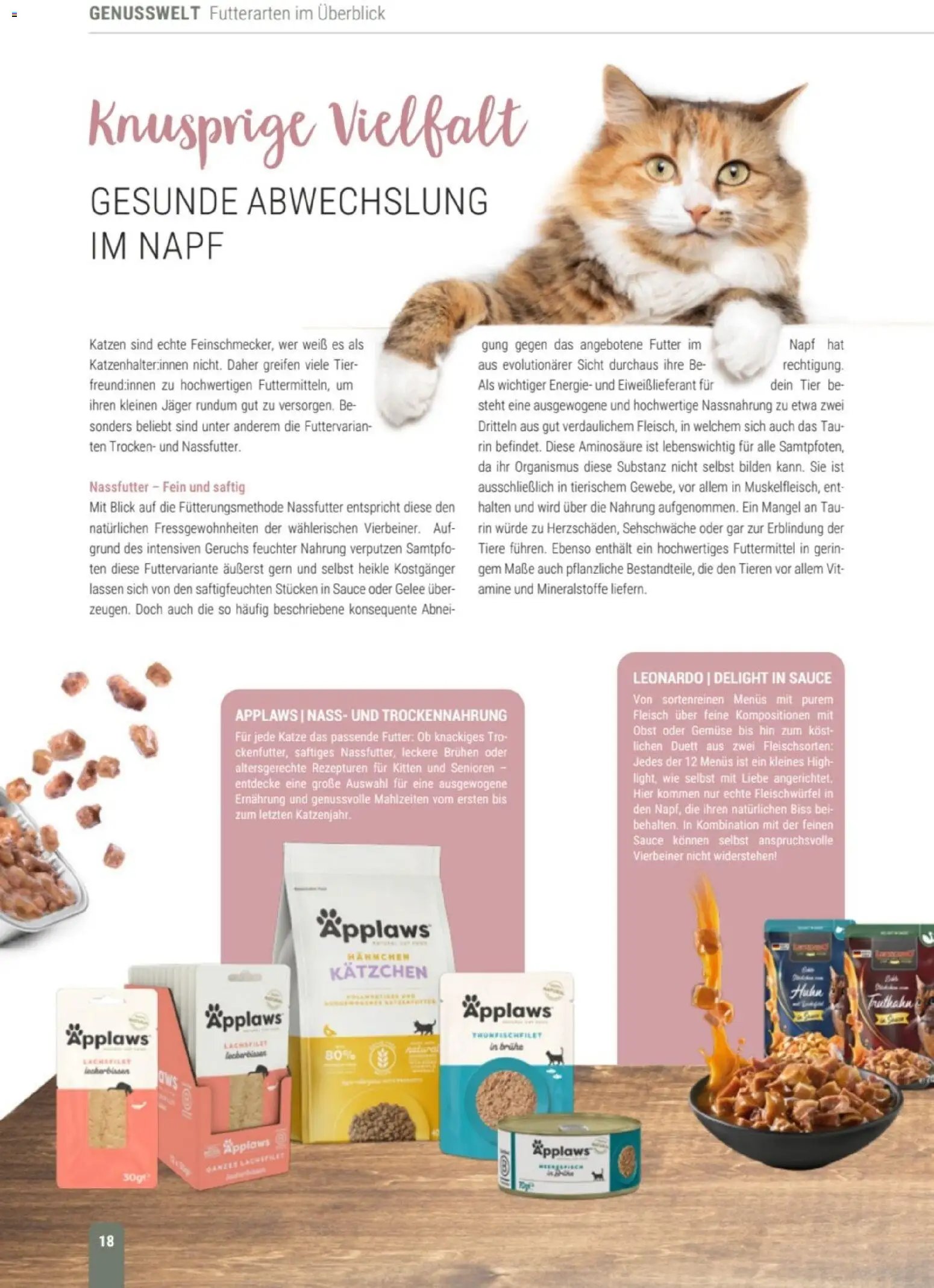 zookauf Themenkatalog Katze