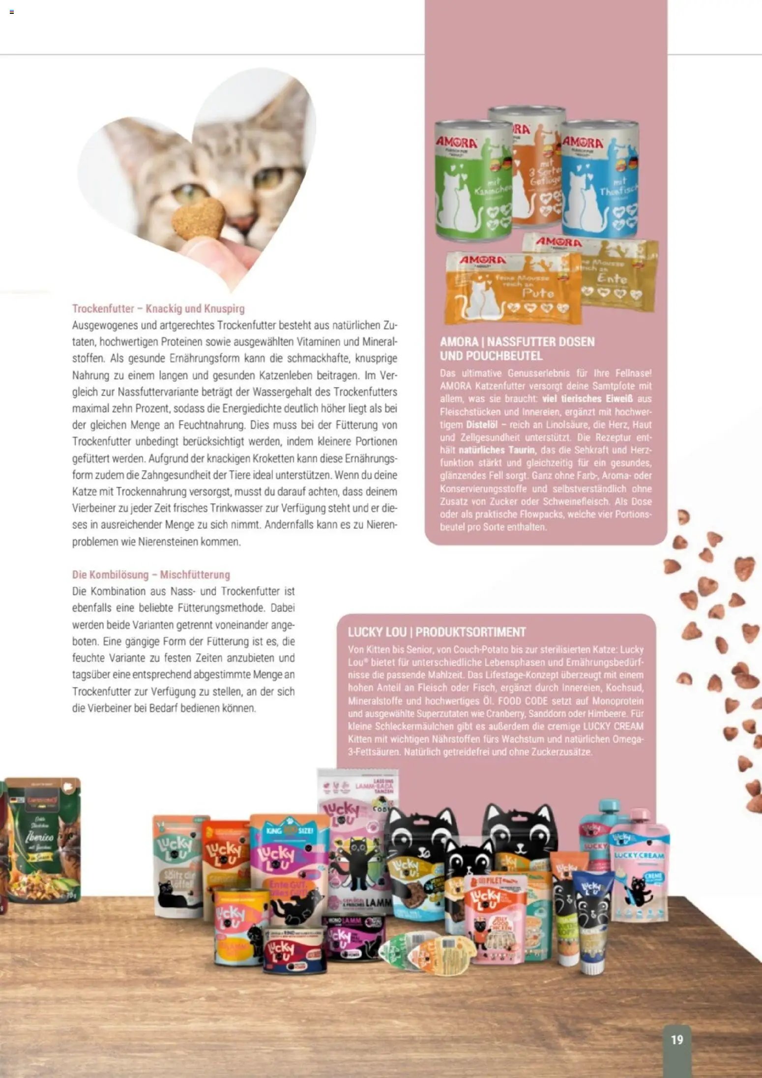zookauf Themenkatalog Katze
