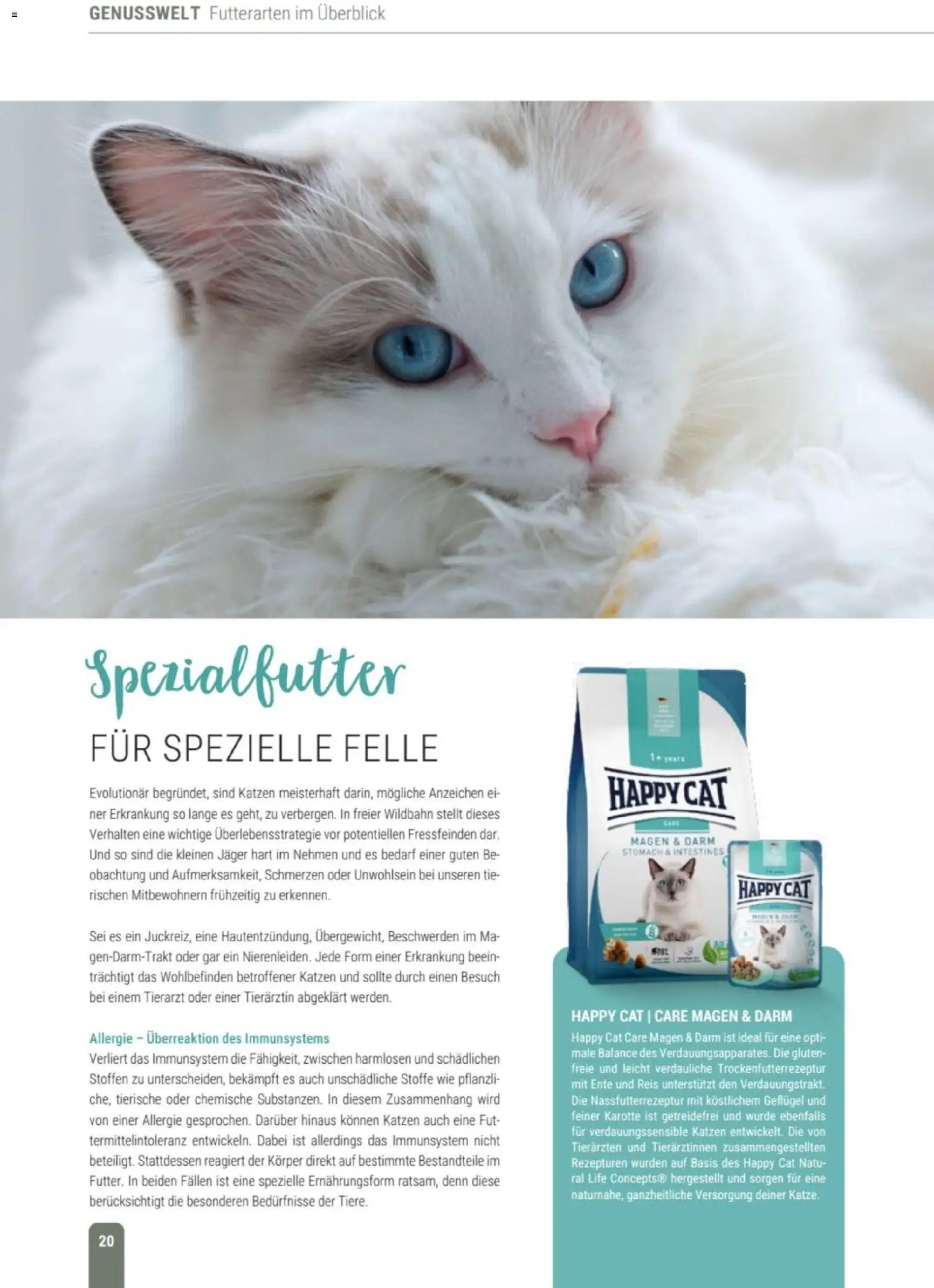 zookauf Themenkatalog Katze