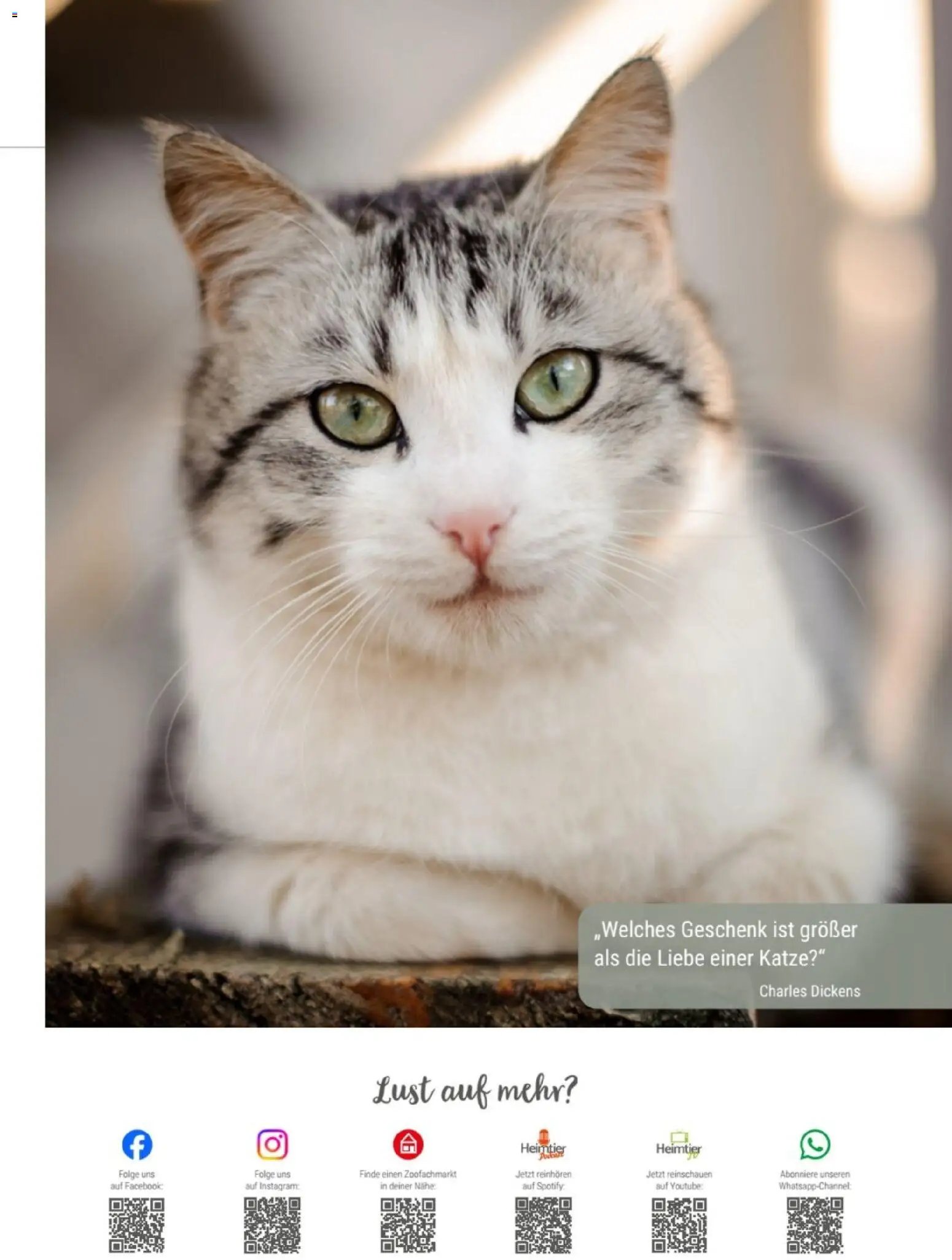 zookauf Themenkatalog Katze
