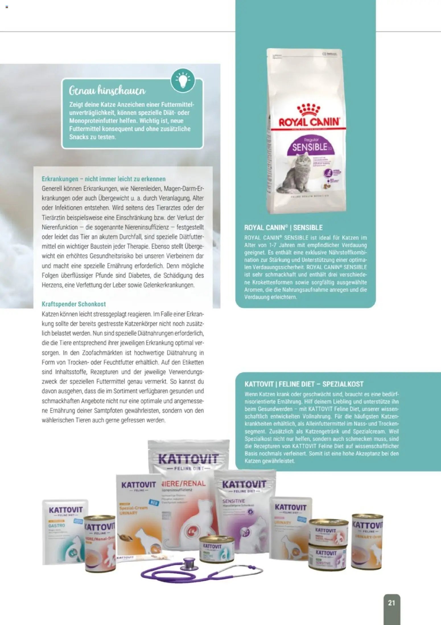 zookauf Themenkatalog Katze