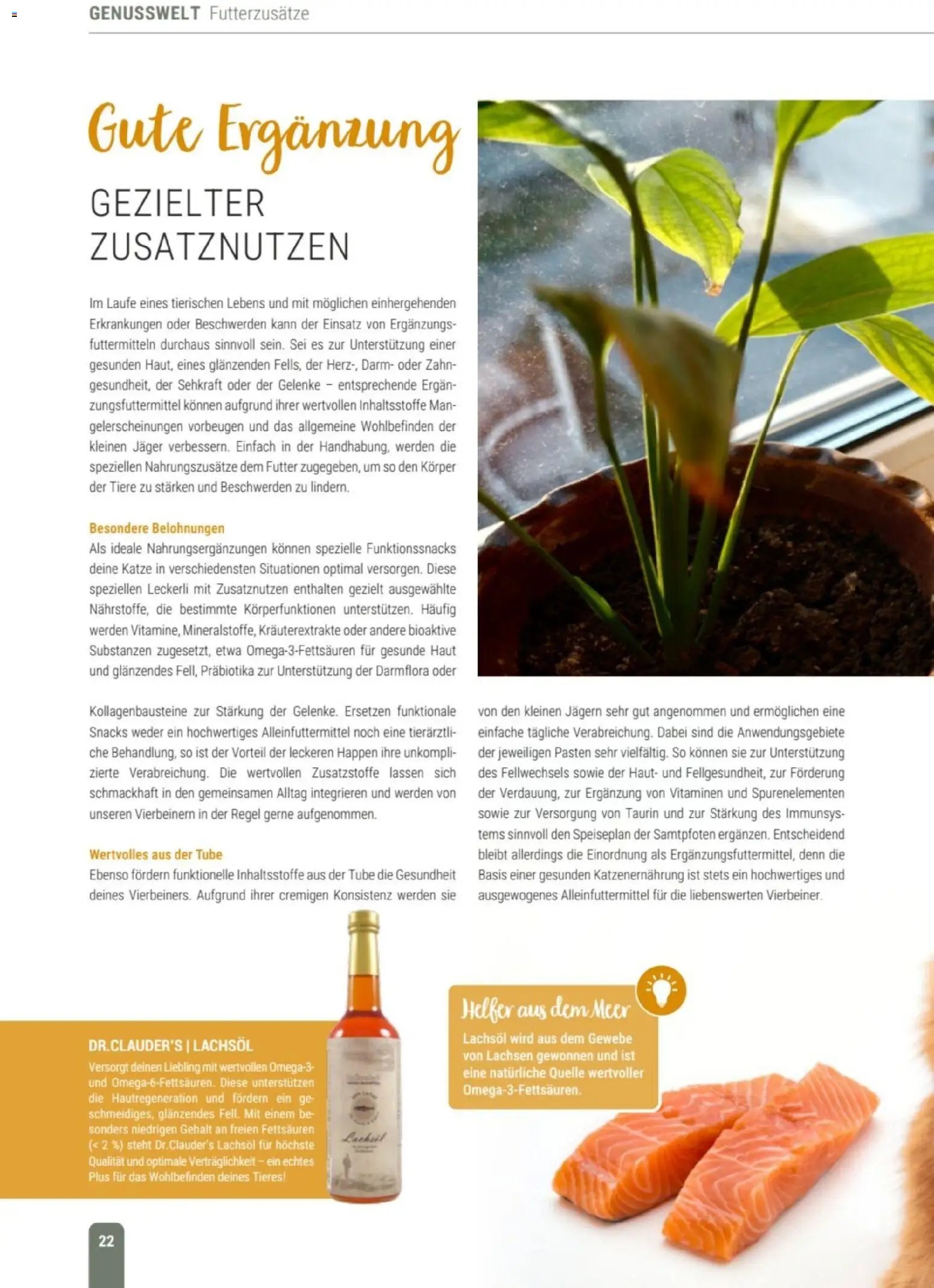 zookauf Themenkatalog Katze