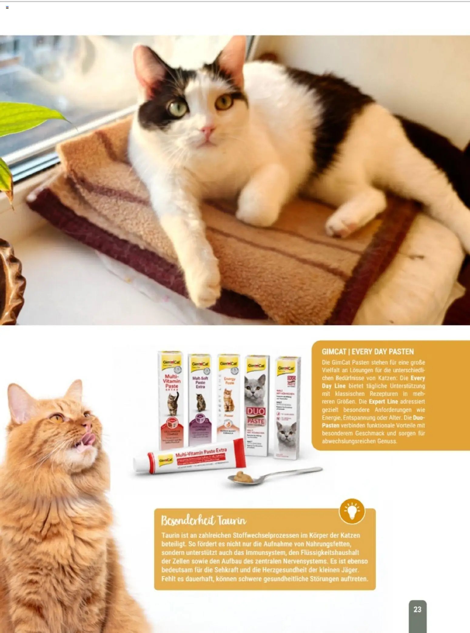zookauf Themenkatalog Katze