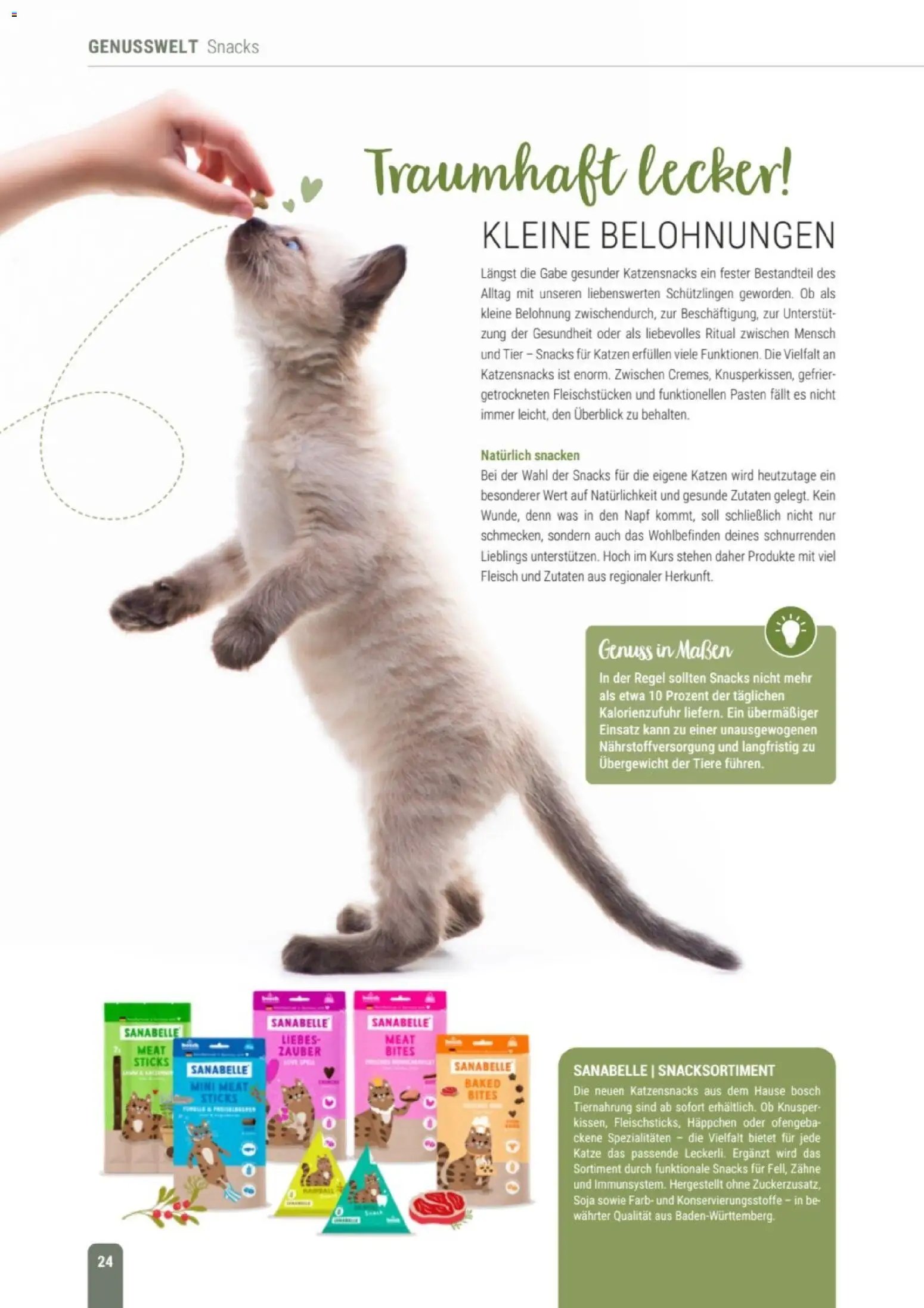 zookauf Themenkatalog Katze