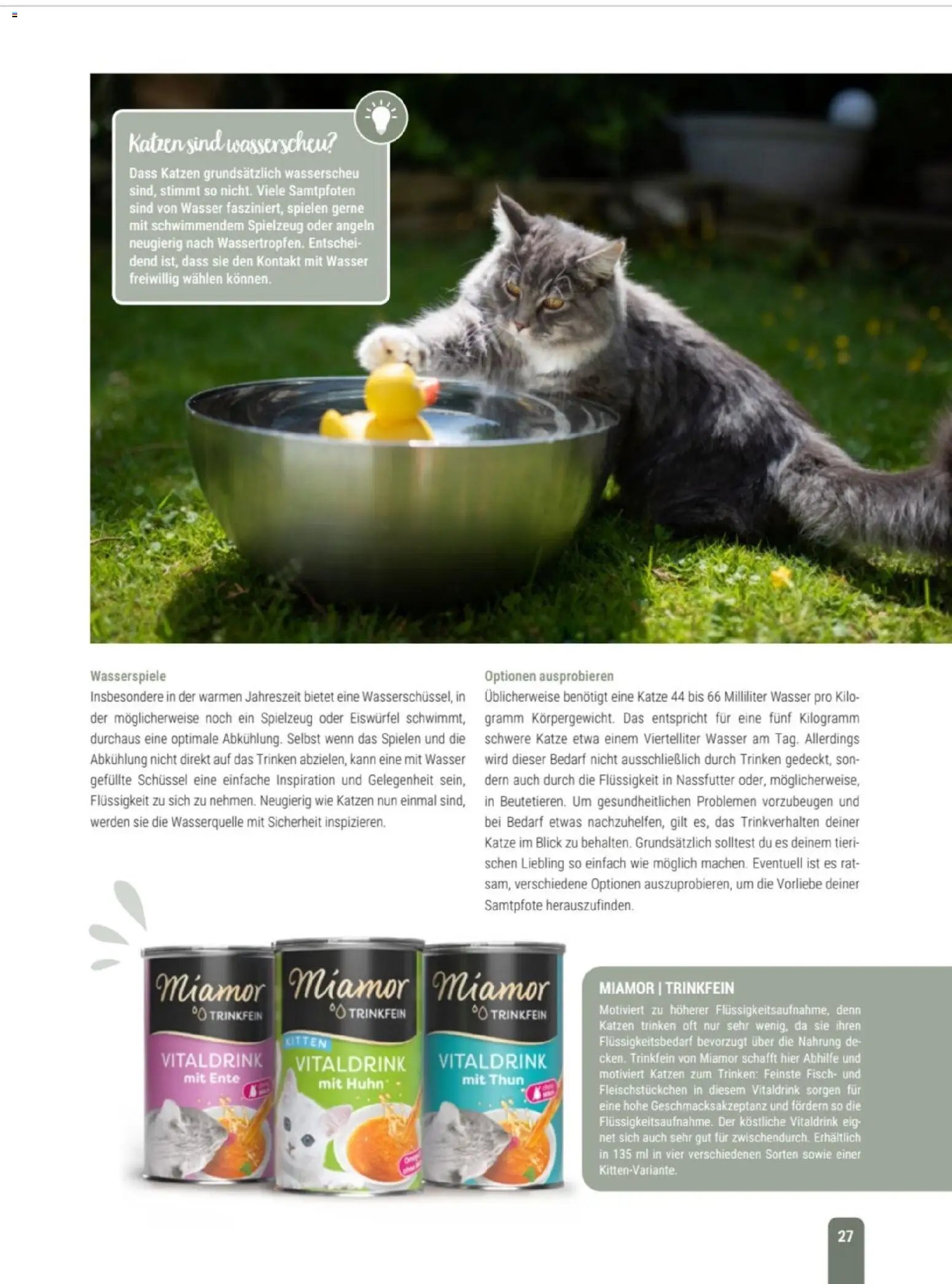 zookauf Themenkatalog Katze