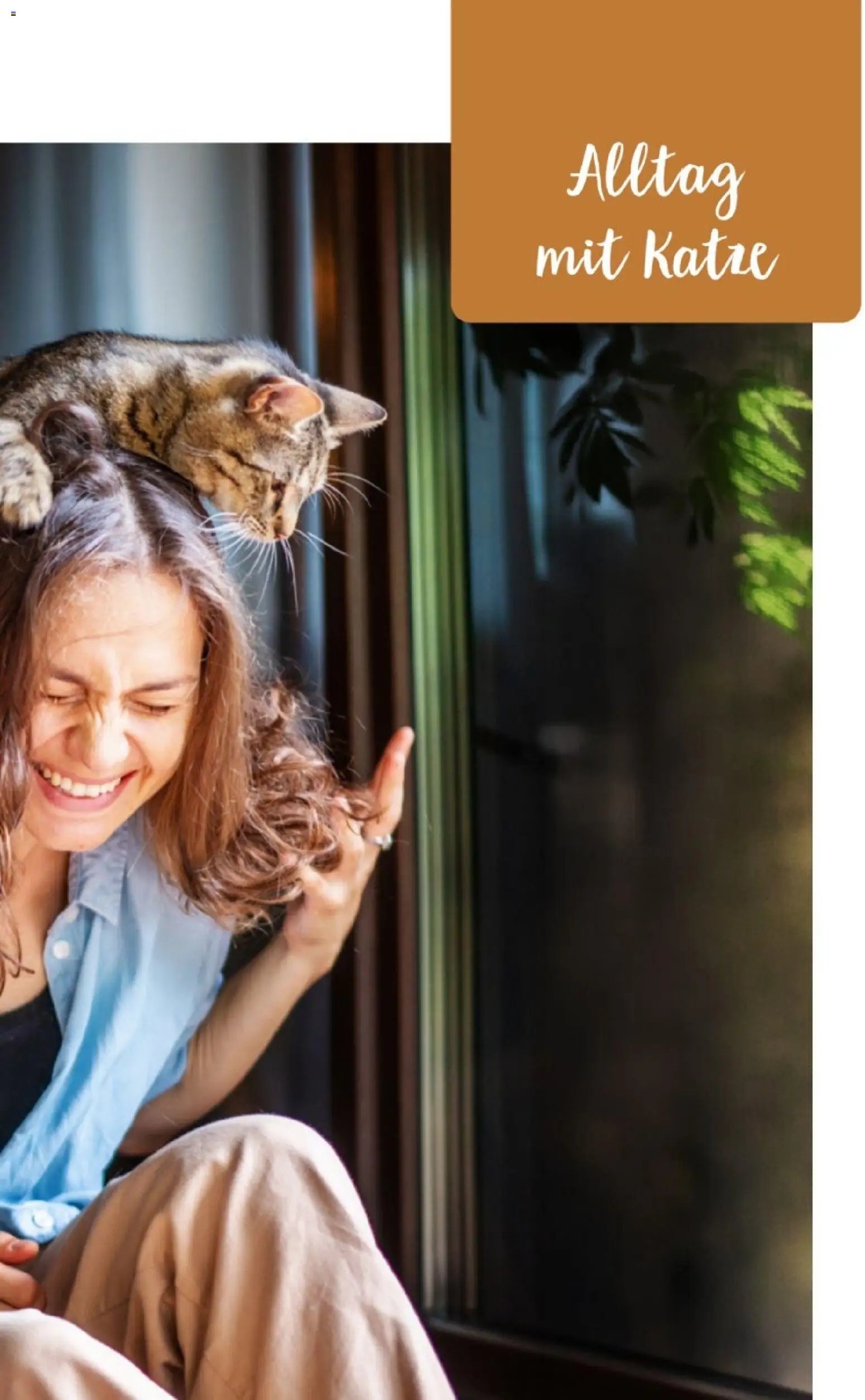 zookauf Themenkatalog Katze