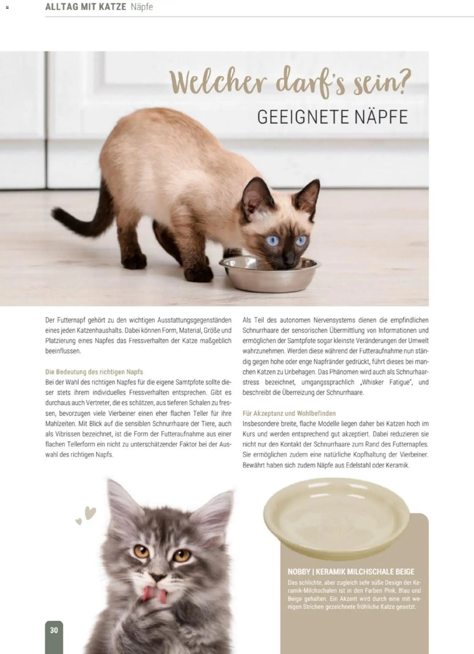 zookauf Themenkatalog Katze