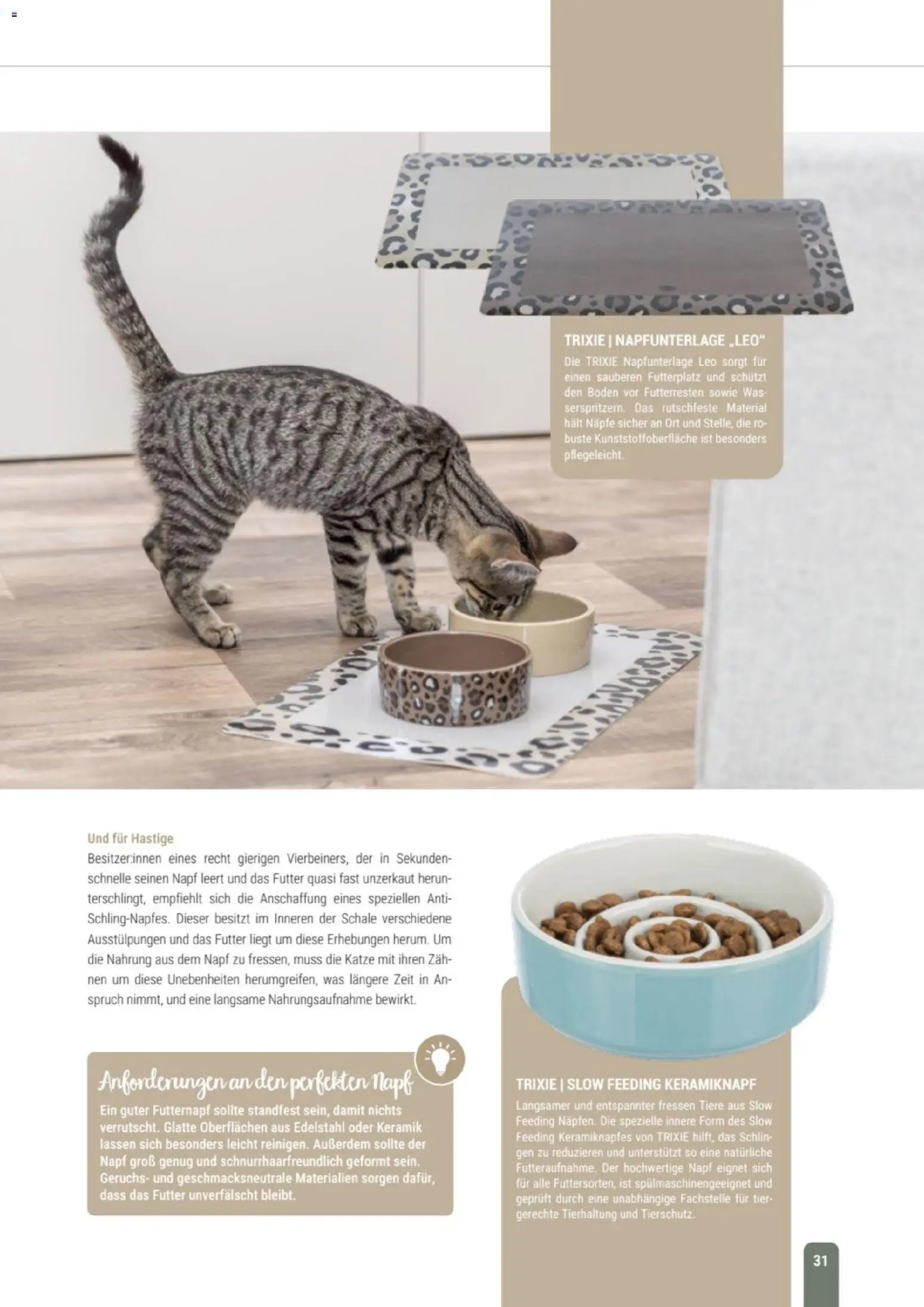 zookauf Themenkatalog Katze