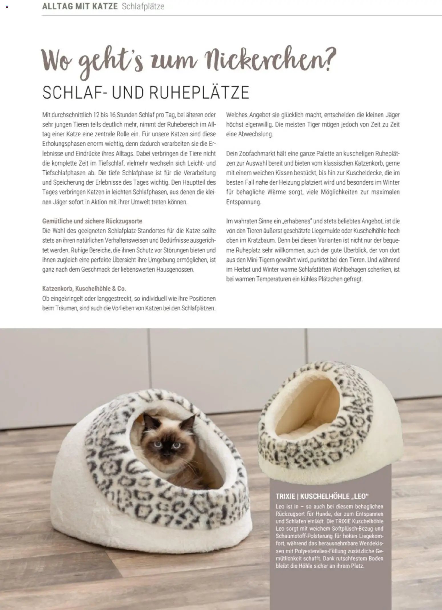 zookauf Themenkatalog Katze