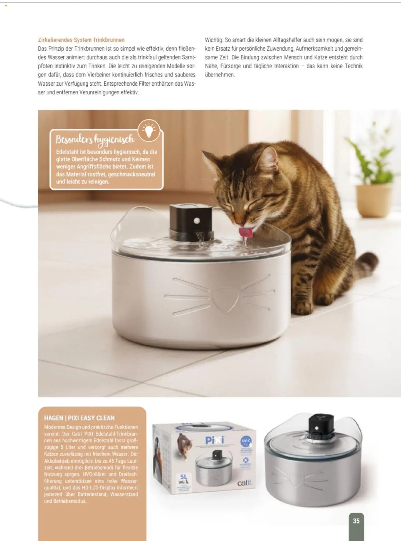 zookauf Themenkatalog Katze
