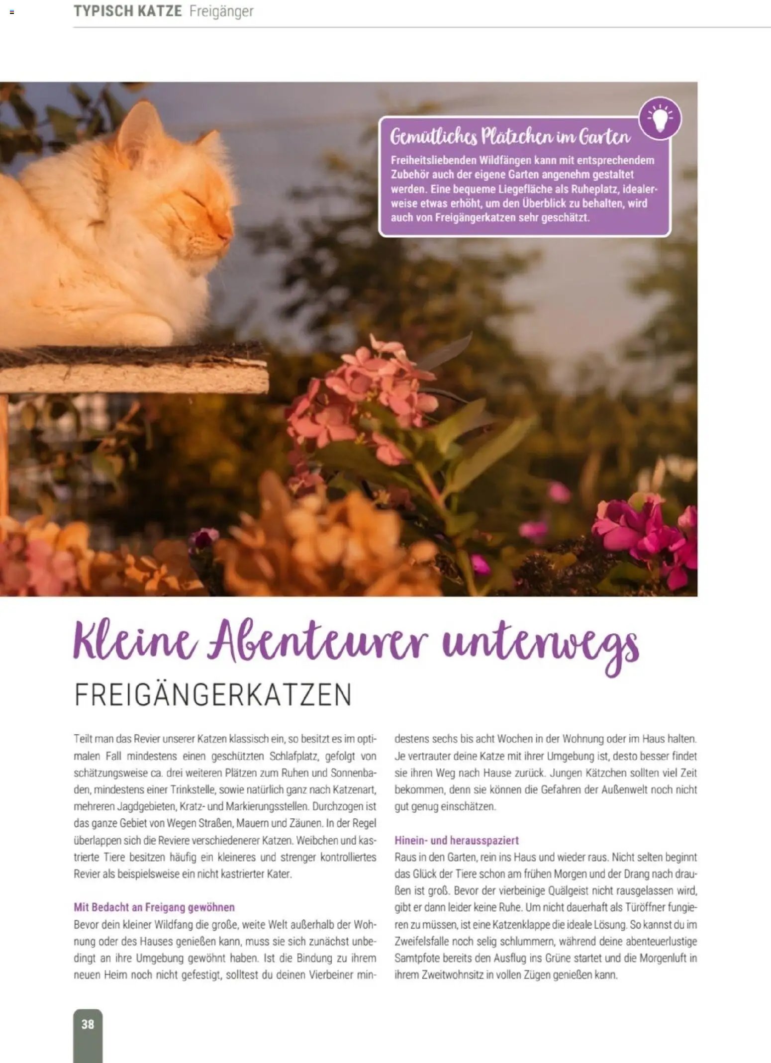 zookauf Themenkatalog Katze