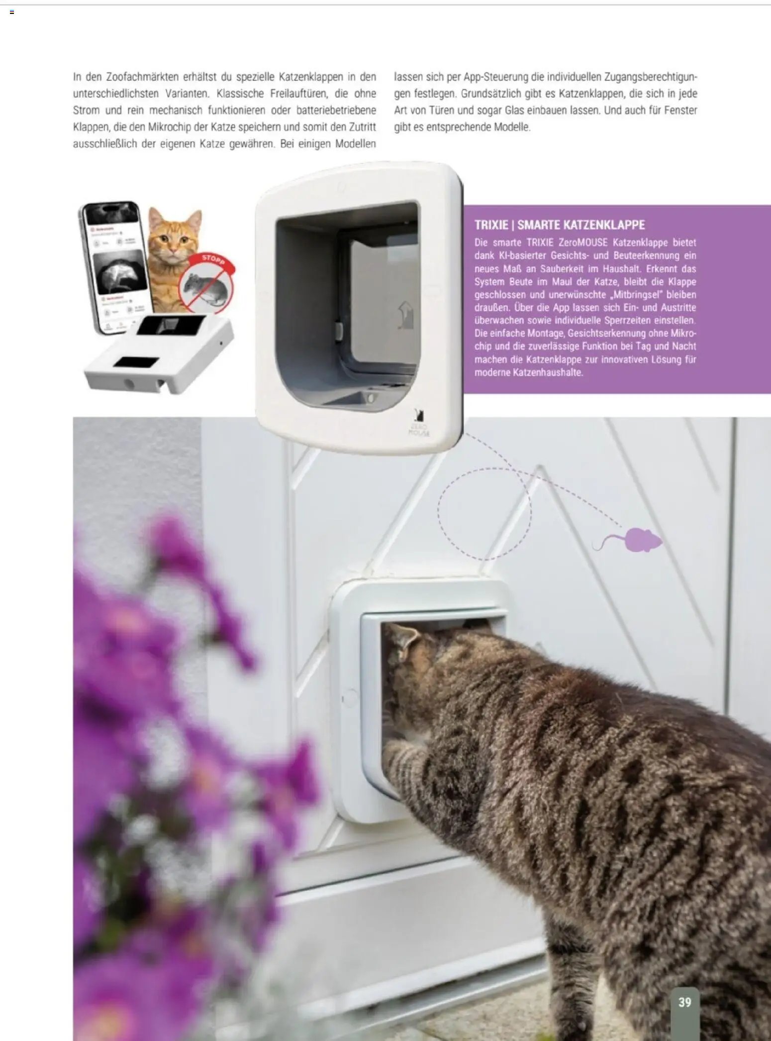 zookauf Themenkatalog Katze