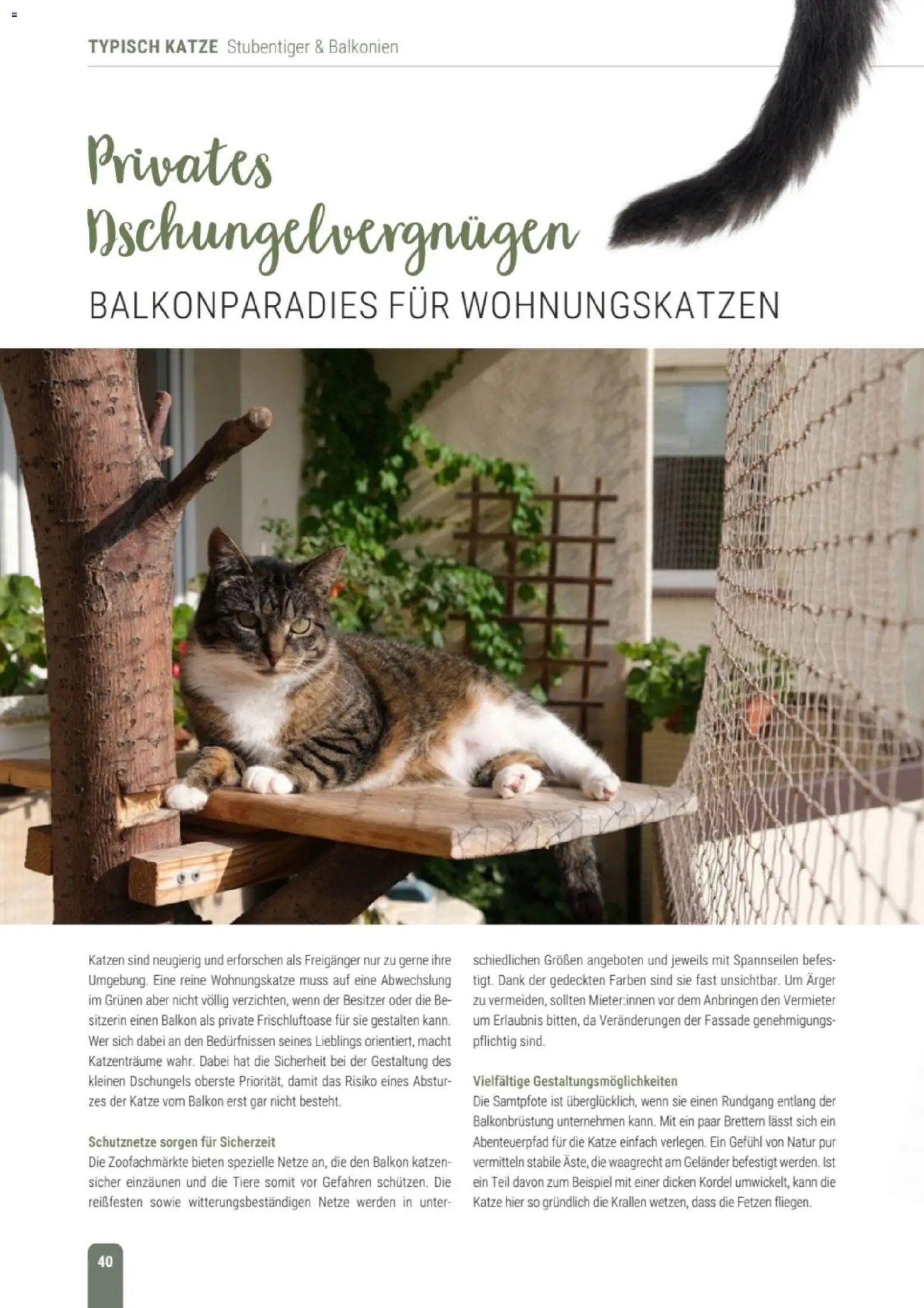 zookauf Themenkatalog Katze