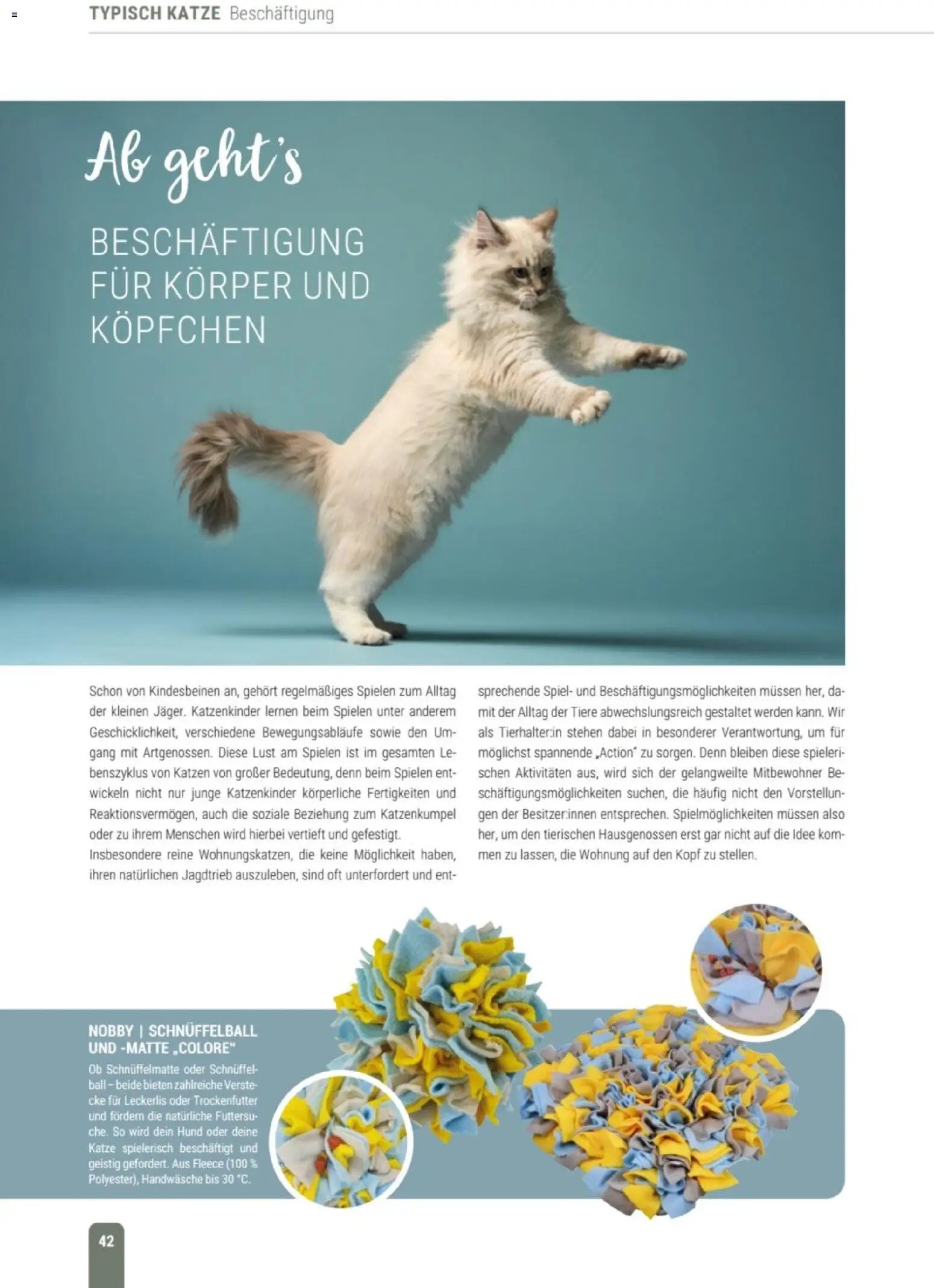 zookauf Themenkatalog Katze