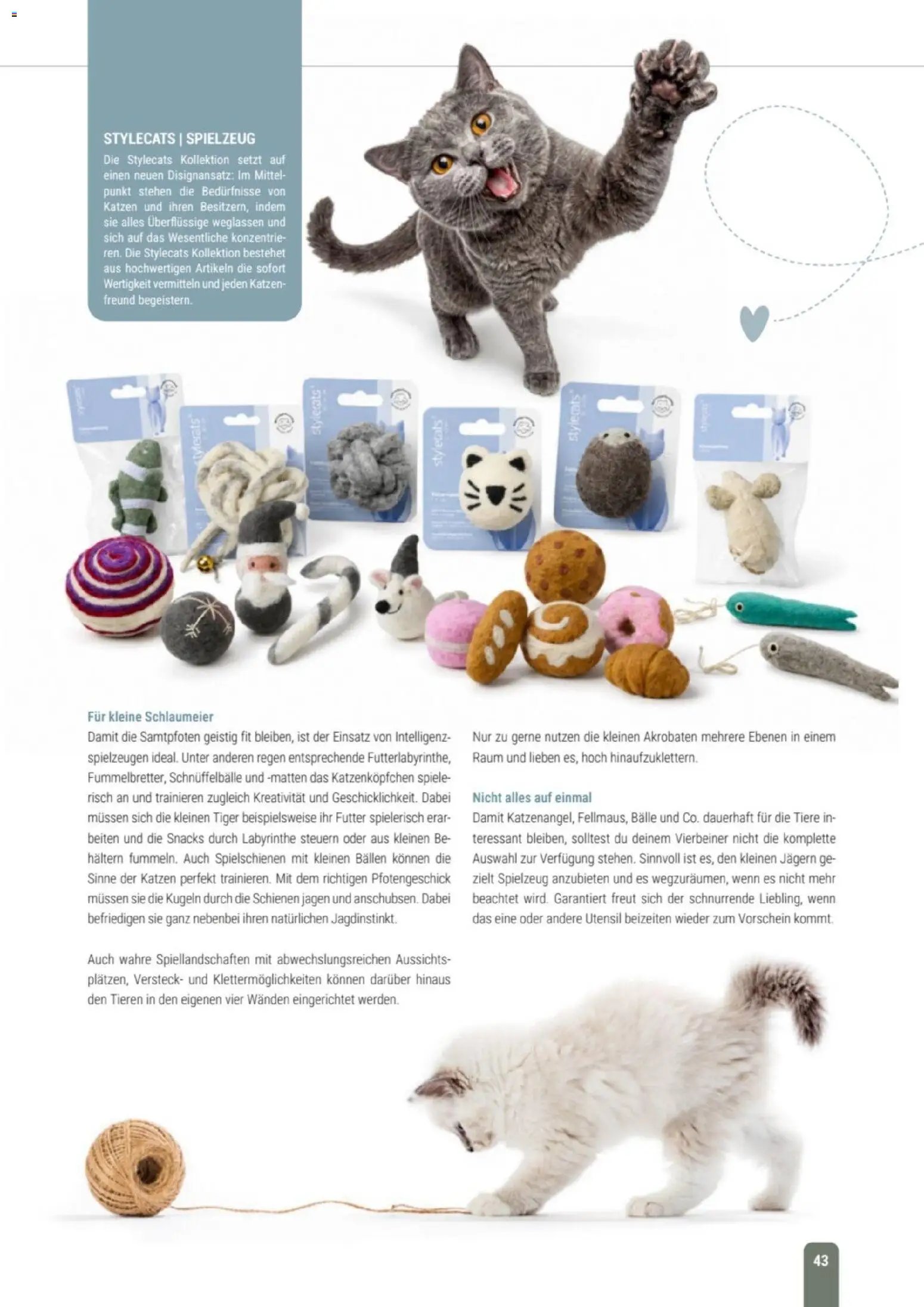 zookauf Themenkatalog Katze