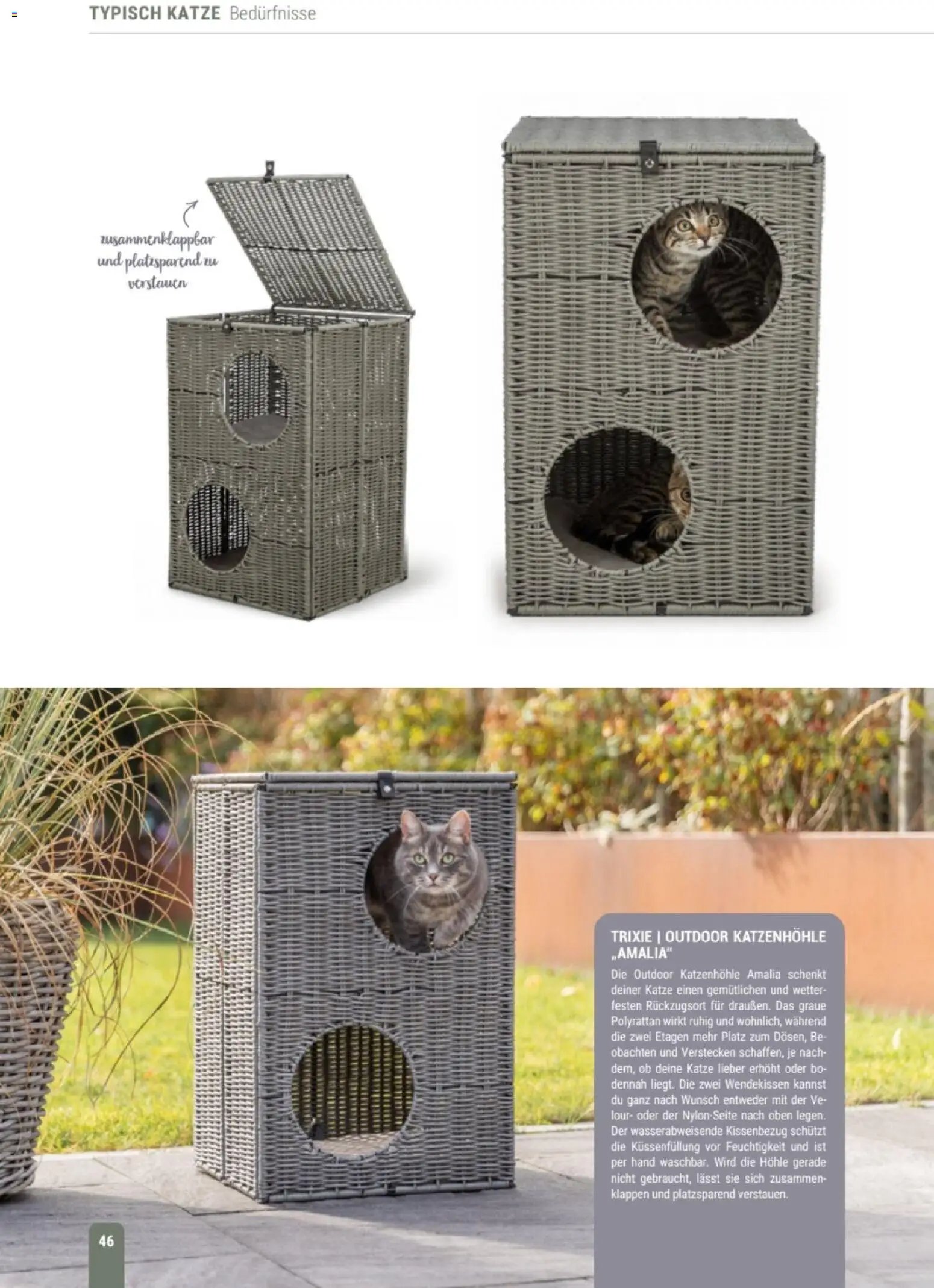 zookauf Themenkatalog Katze