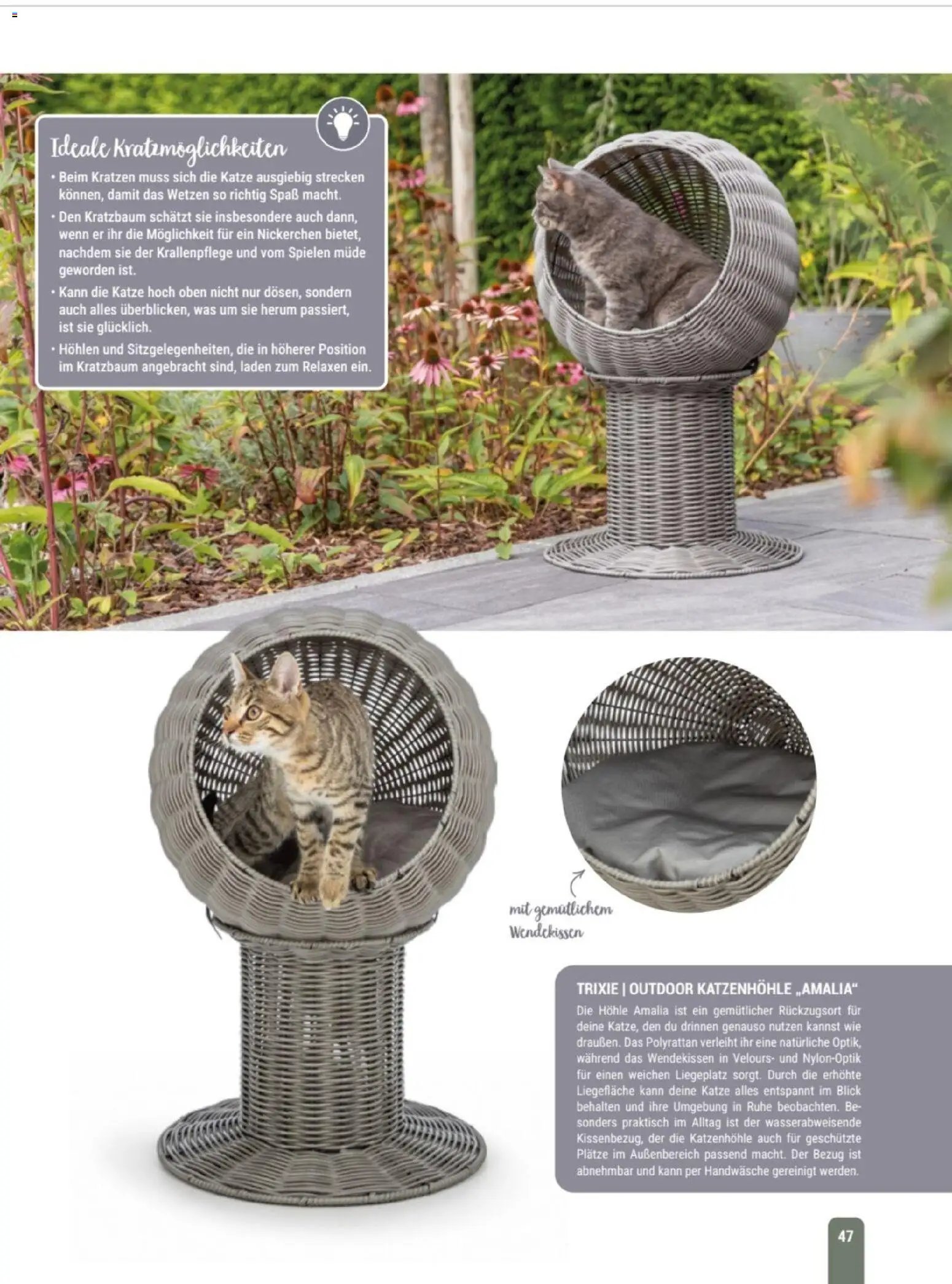 zookauf Themenkatalog Katze