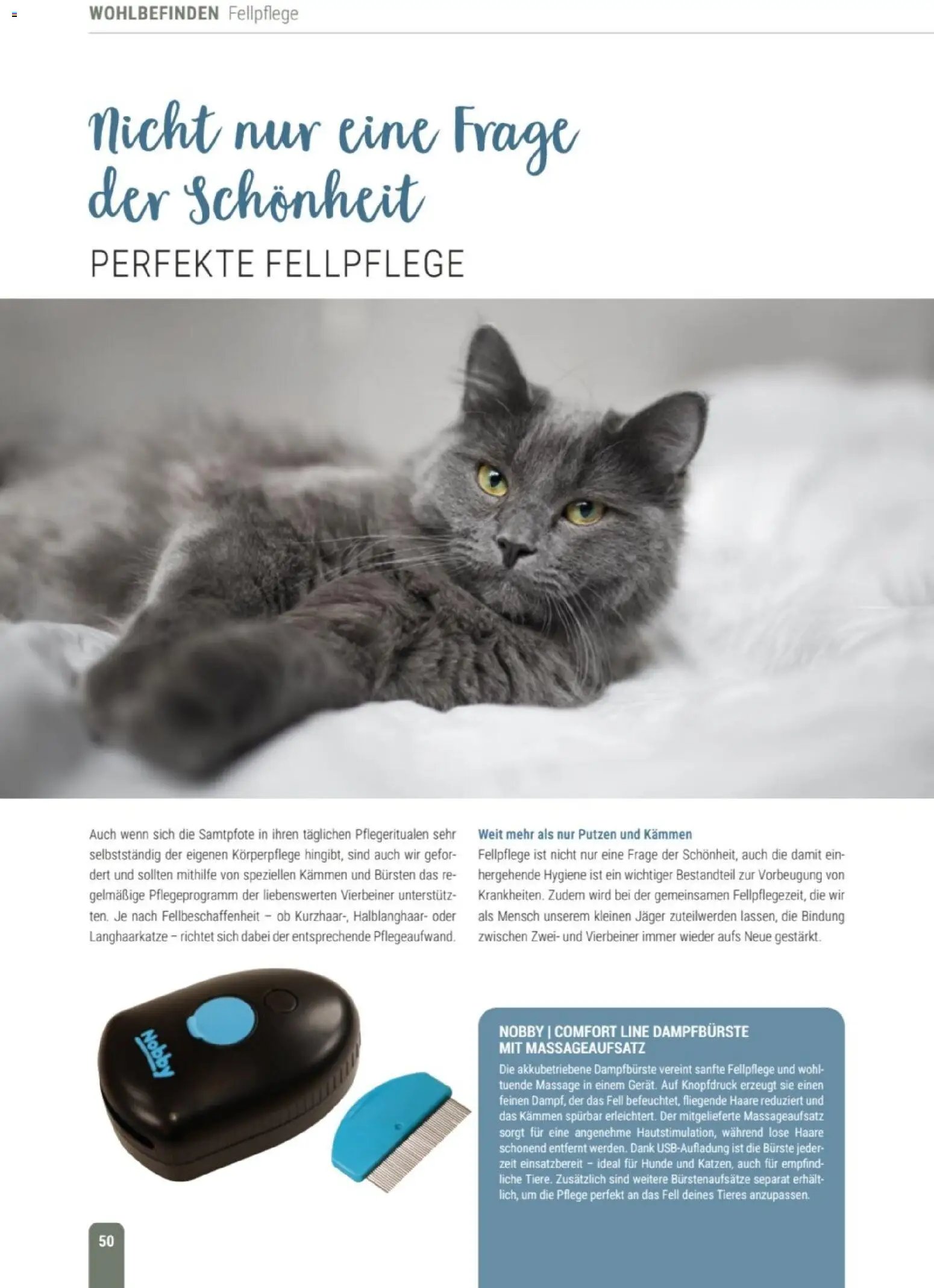 zookauf Themenkatalog Katze