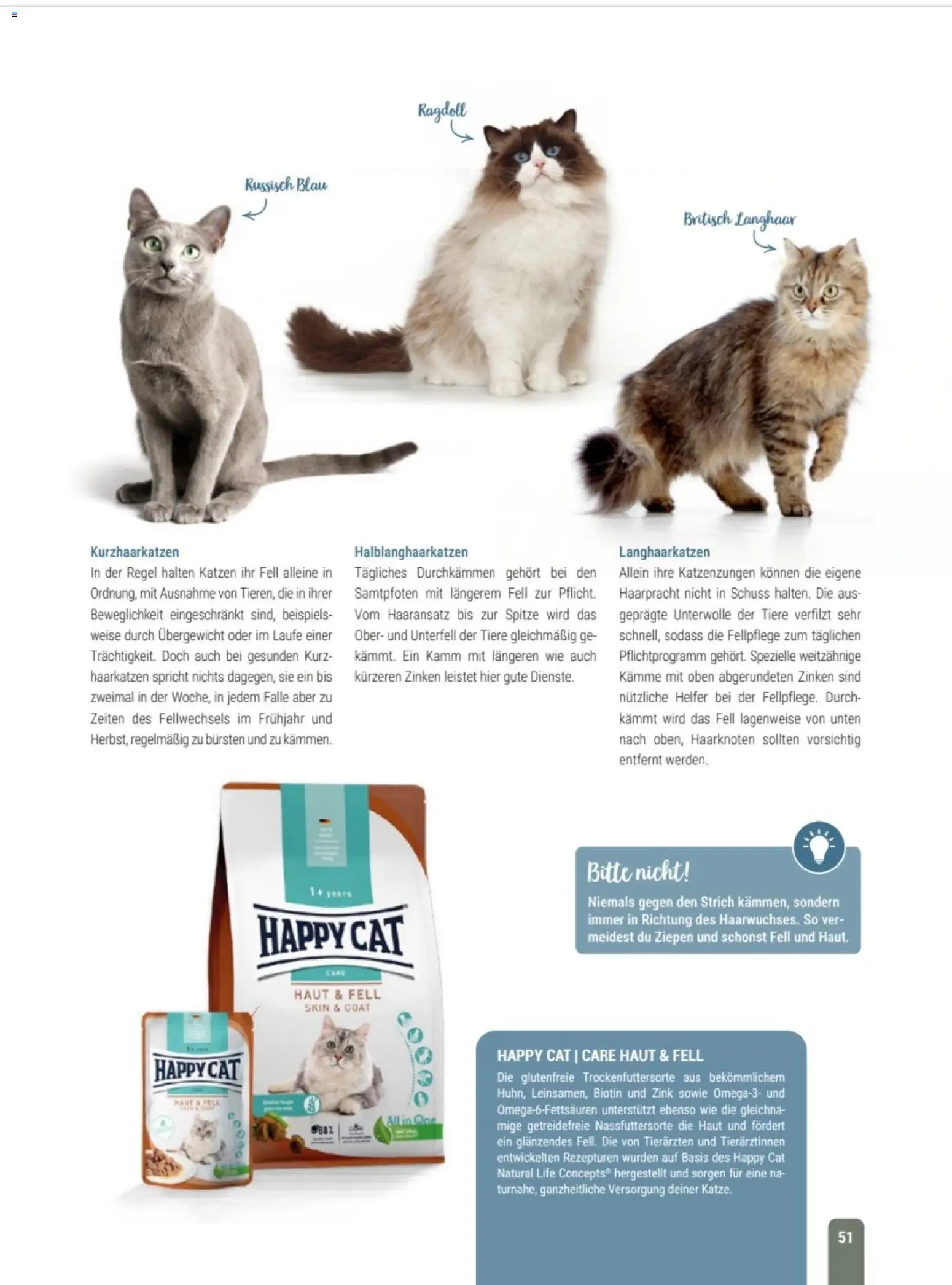zookauf Themenkatalog Katze