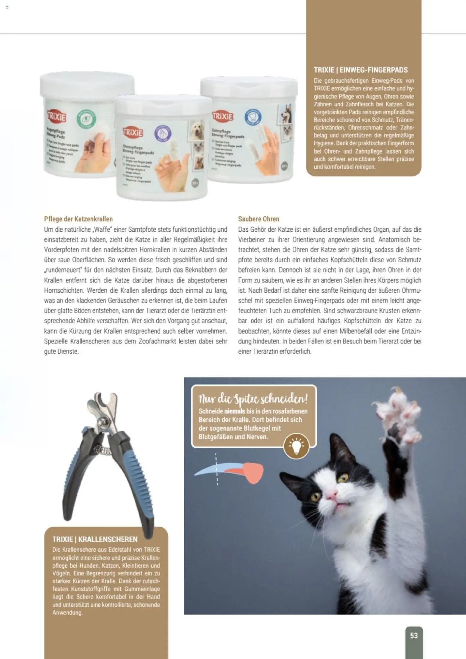 zookauf Themenkatalog Katze