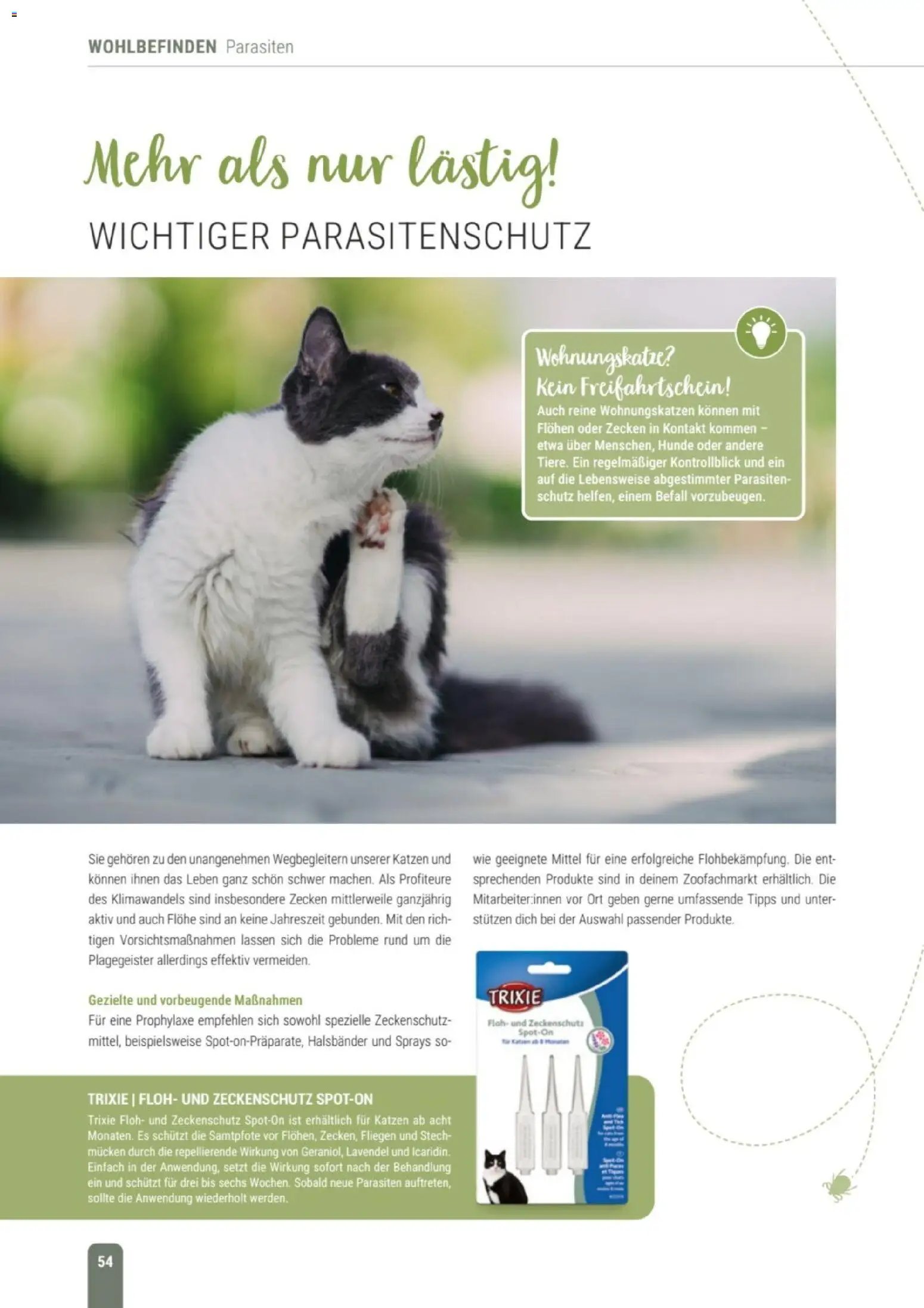 zookauf Themenkatalog Katze