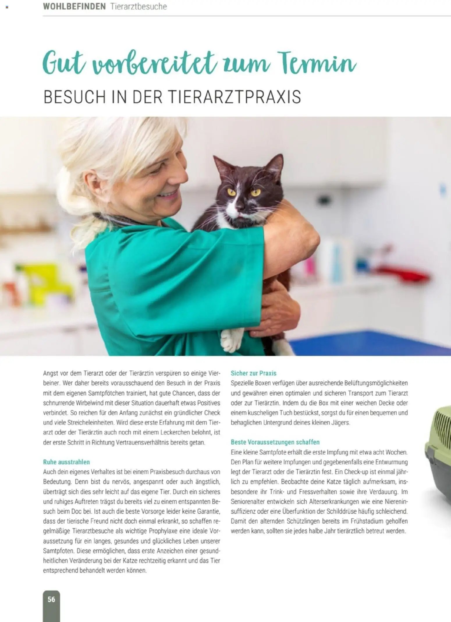 zookauf Themenkatalog Katze