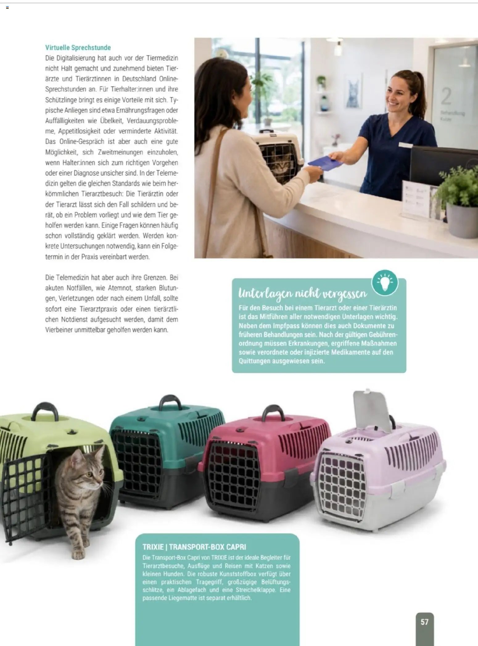 zookauf Themenkatalog Katze