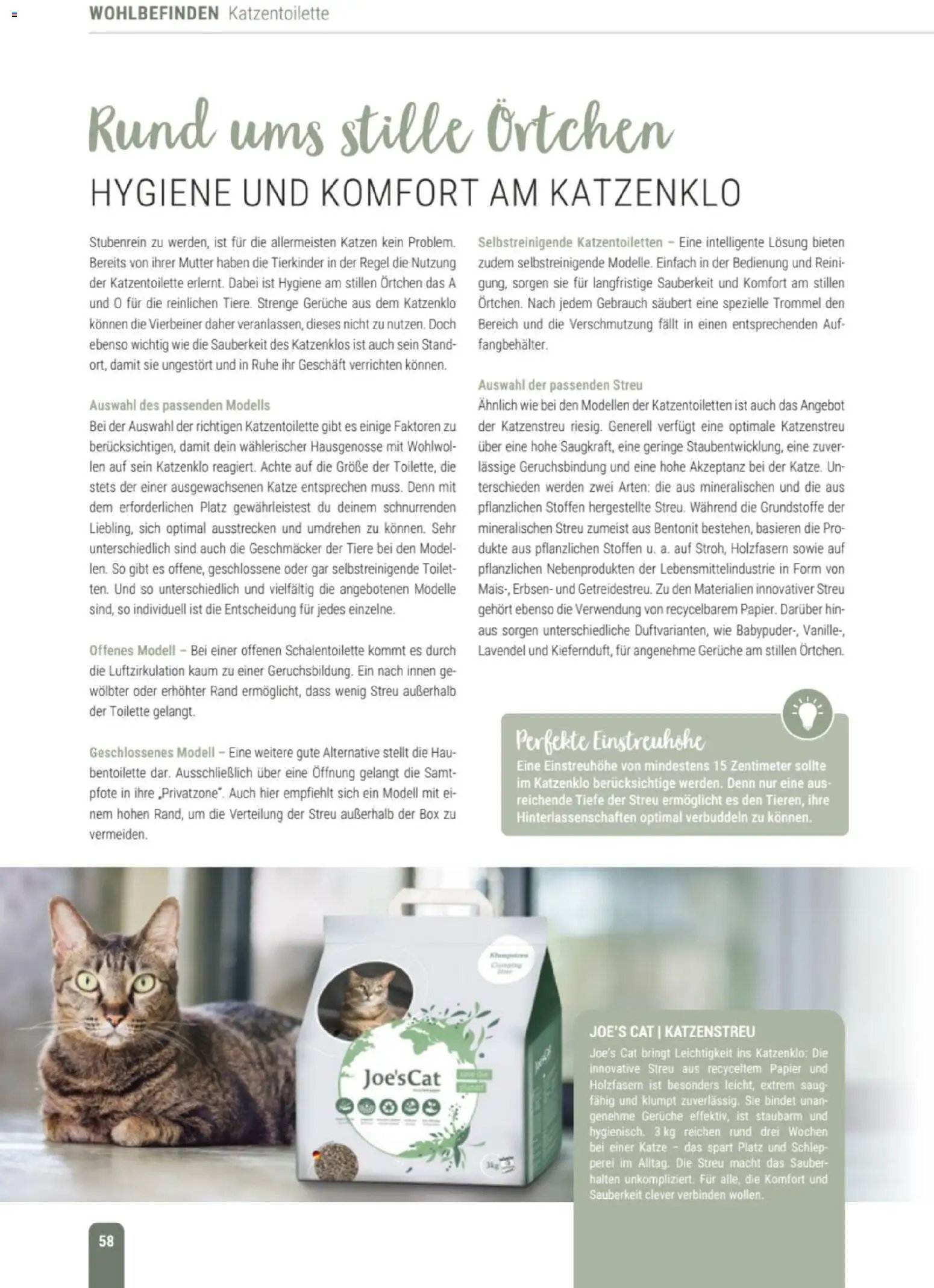 zookauf Themenkatalog Katze