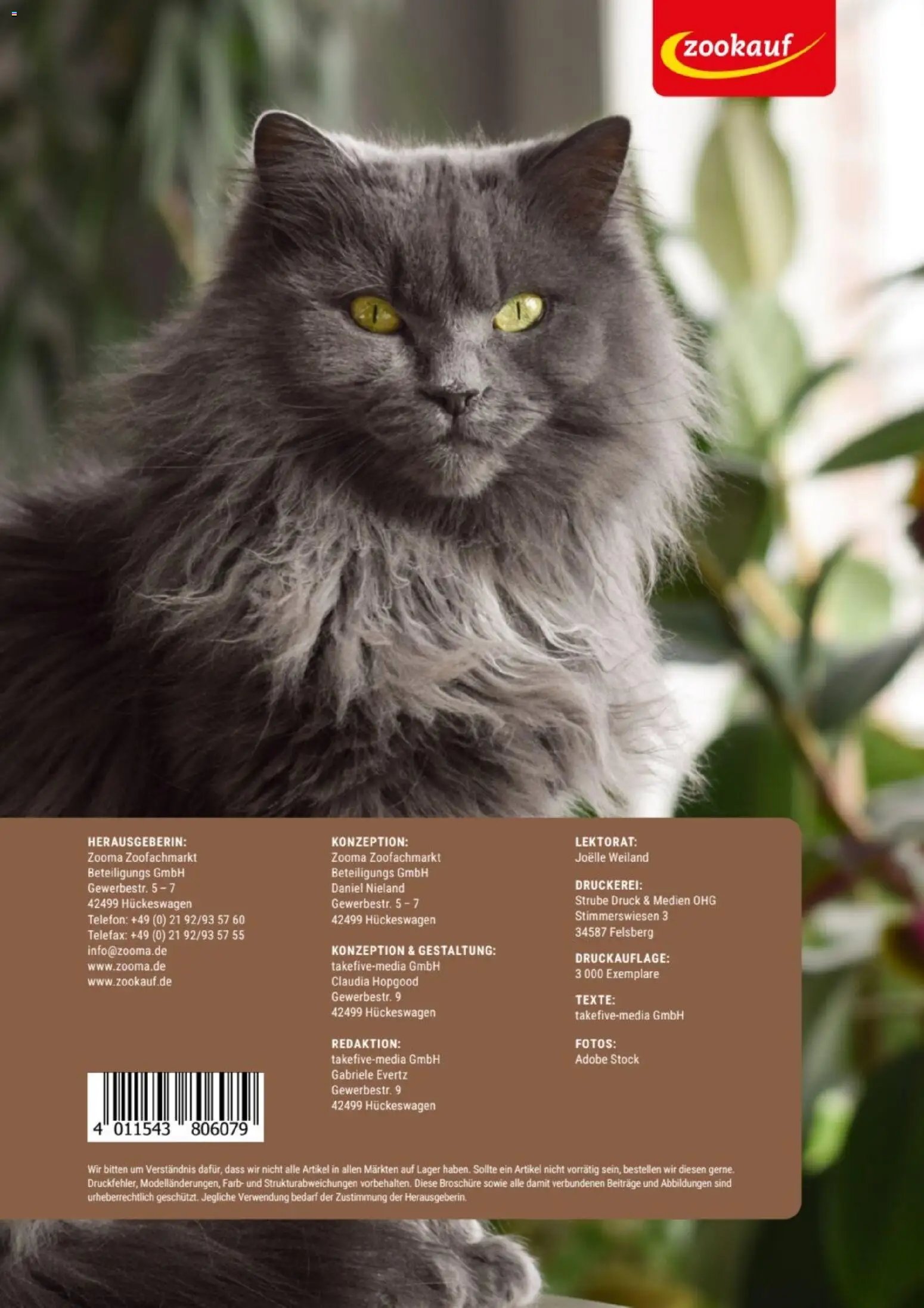 zookauf Themenkatalog Katze