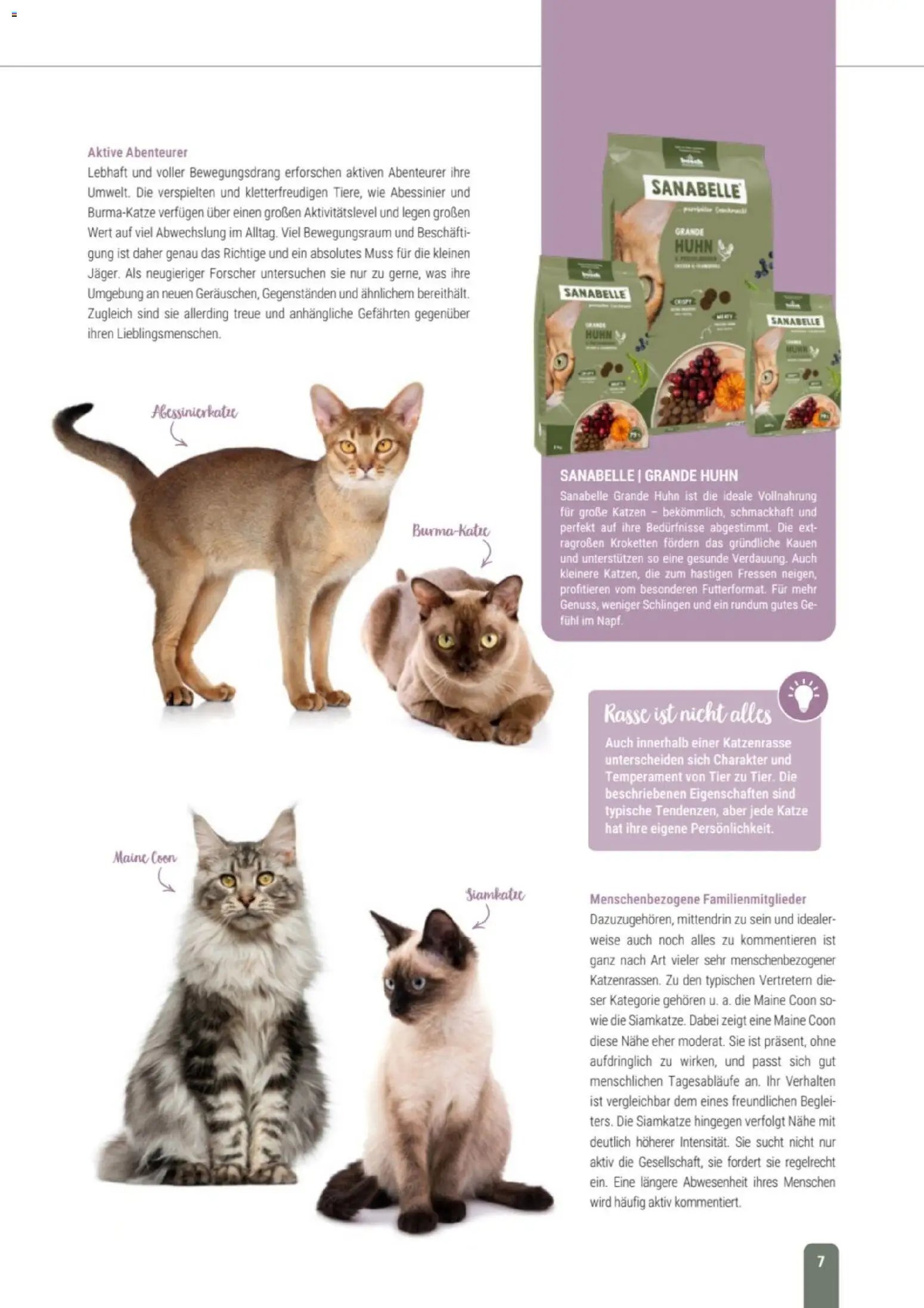 zookauf Themenkatalog Katze