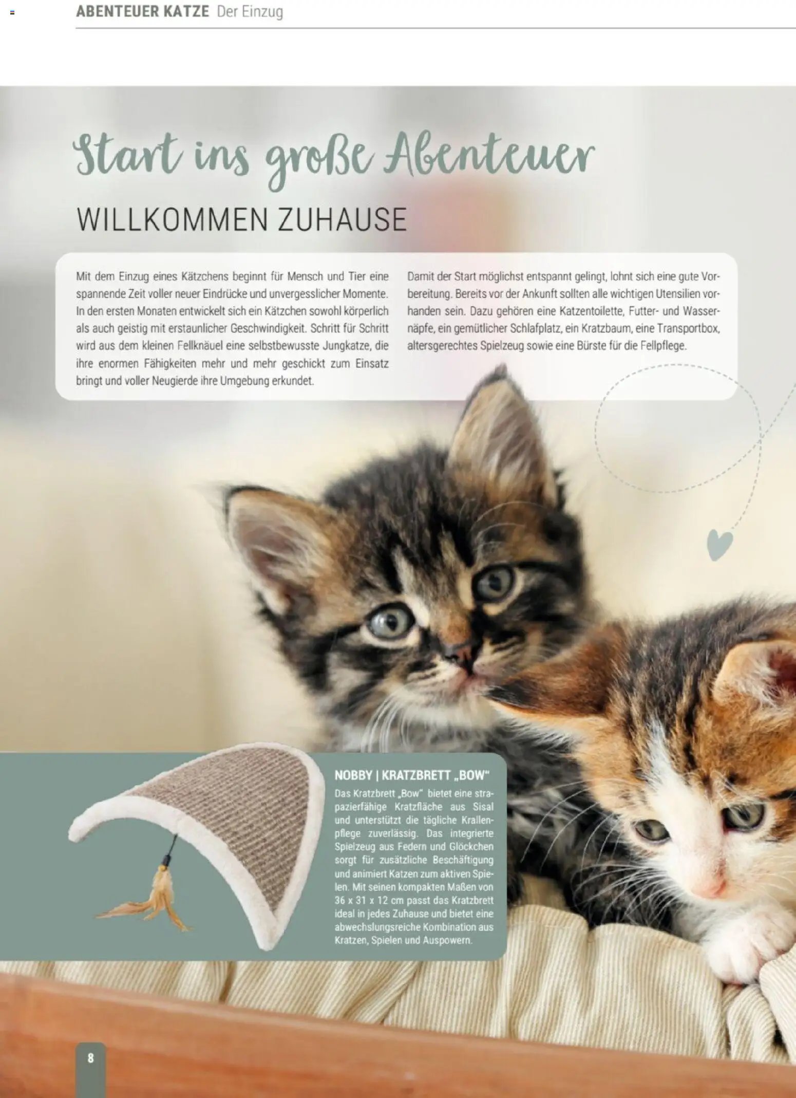 zookauf Themenkatalog Katze