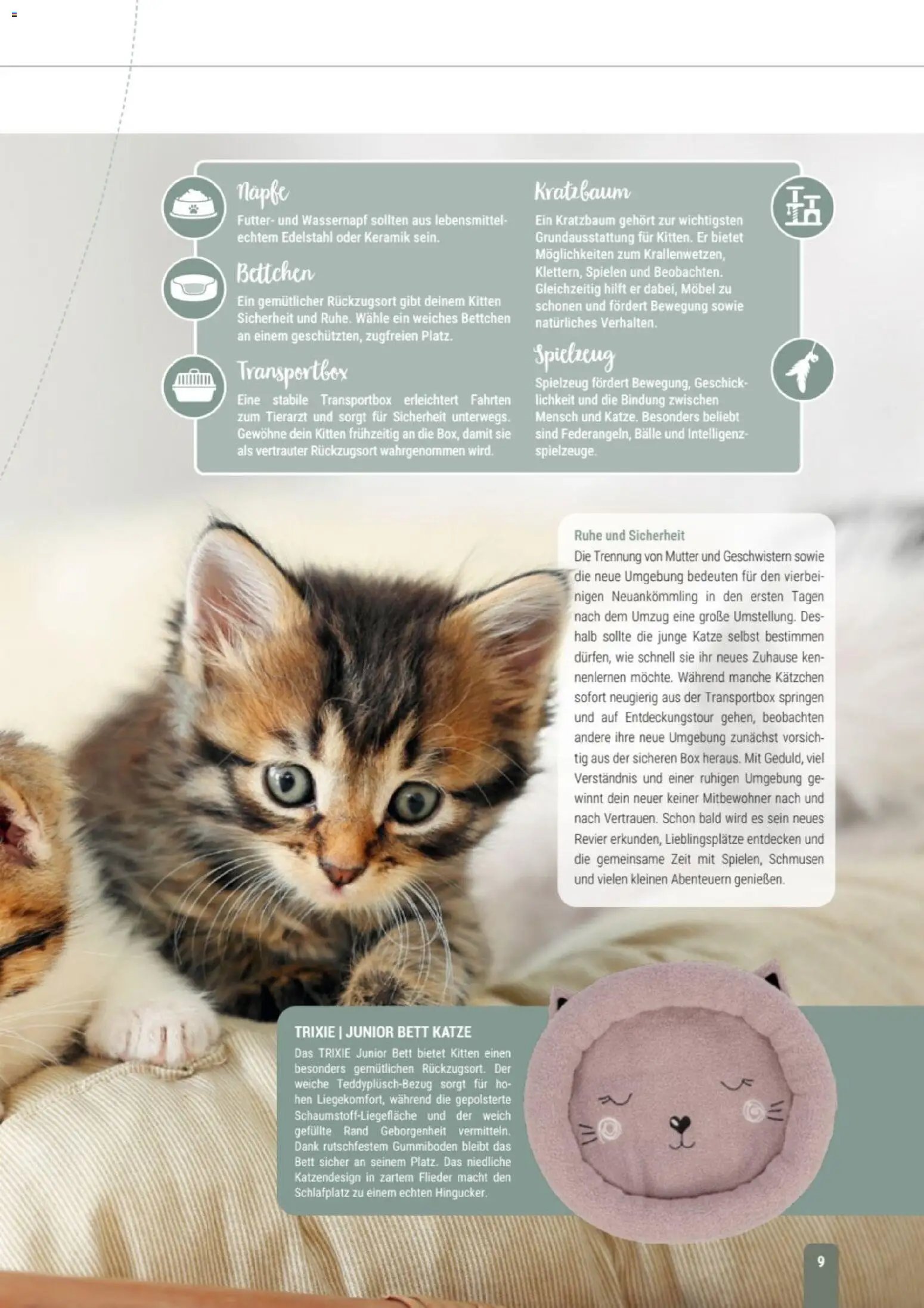 zookauf Themenkatalog Katze