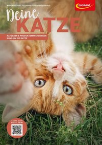 zookauf Themenkatalog Katze