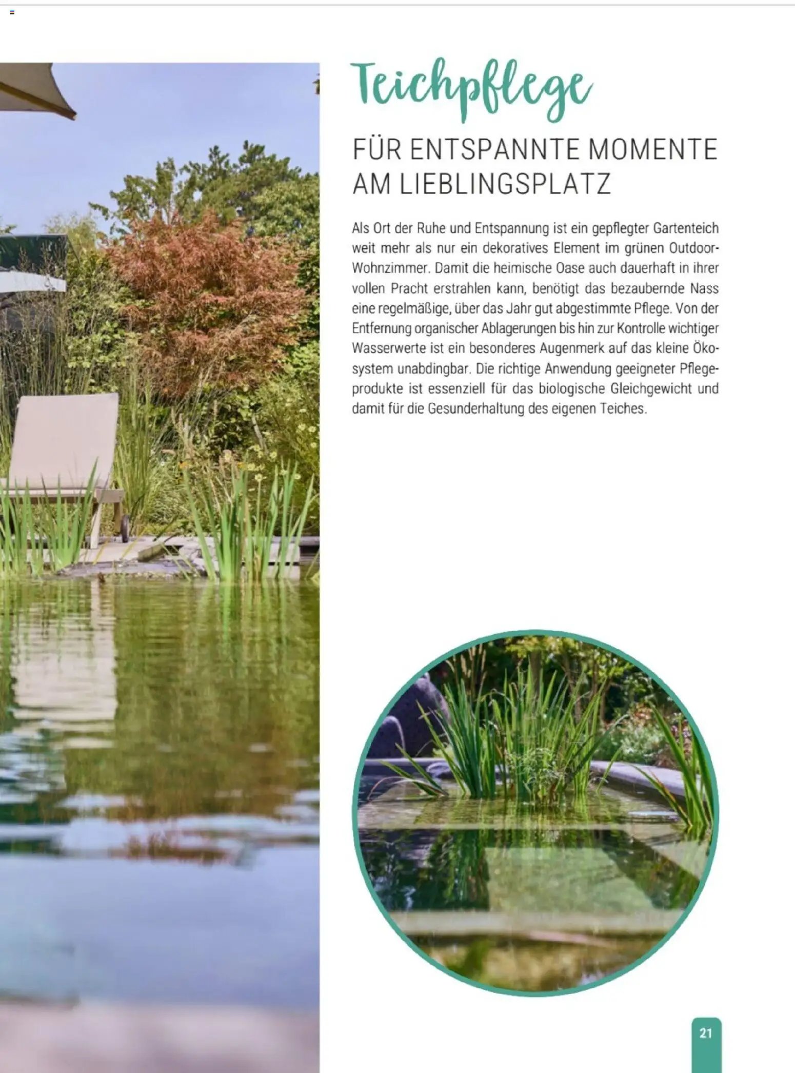 zookauf Themenkatalog Teich