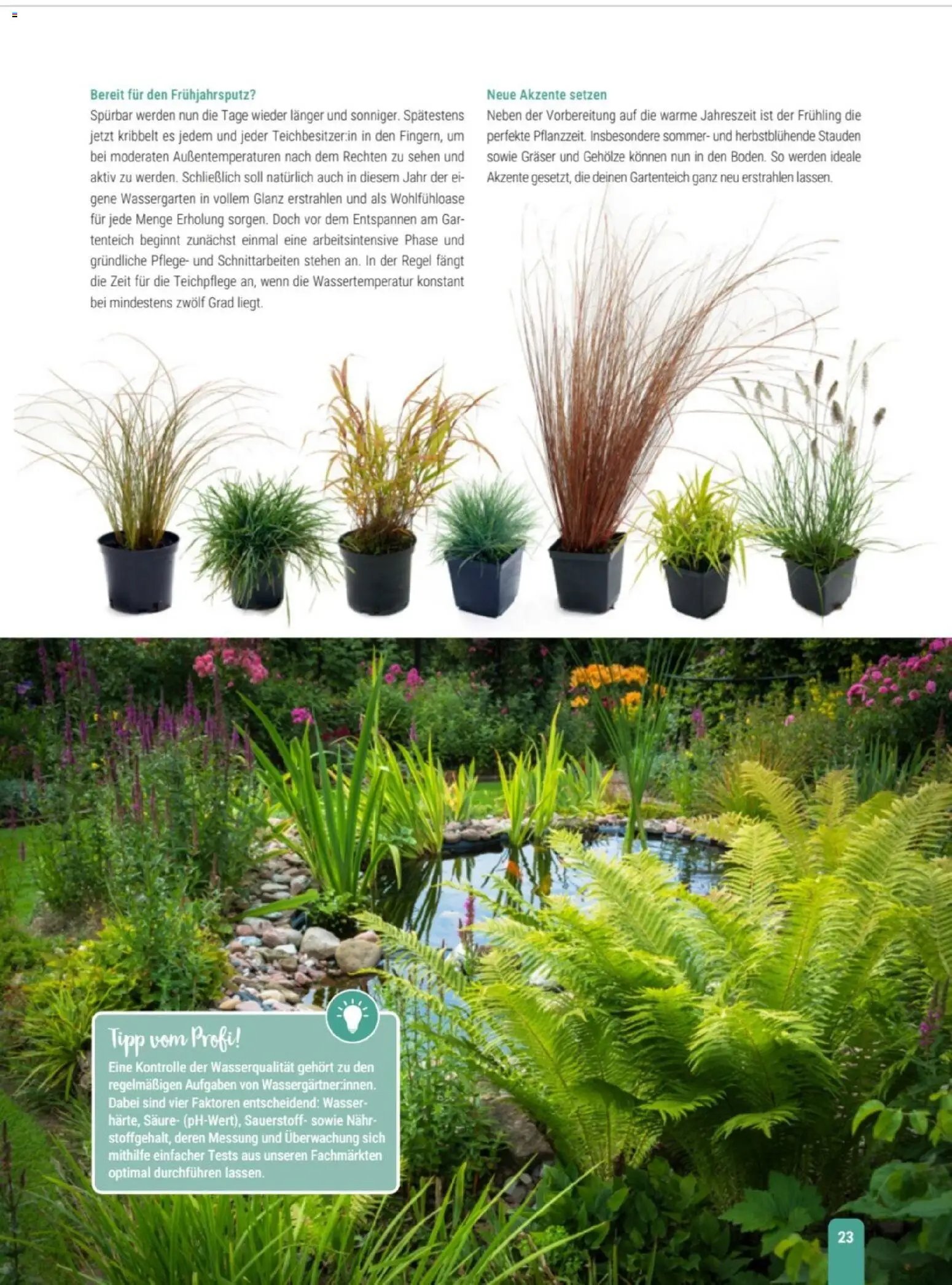 zookauf Themenkatalog Teich