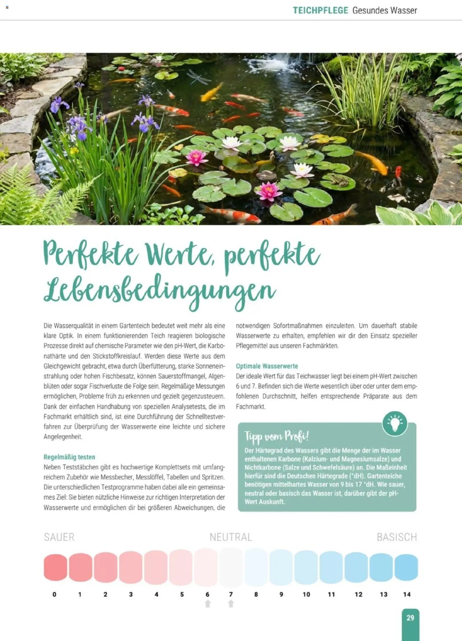 zookauf Themenkatalog Teich