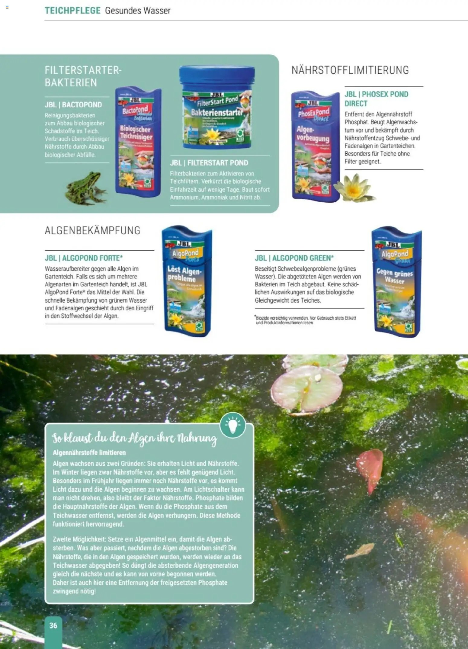 zookauf Themenkatalog Teich