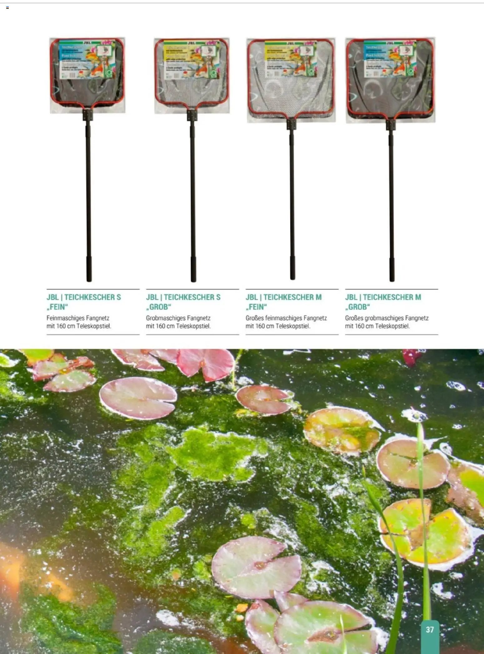 zookauf Themenkatalog Teich