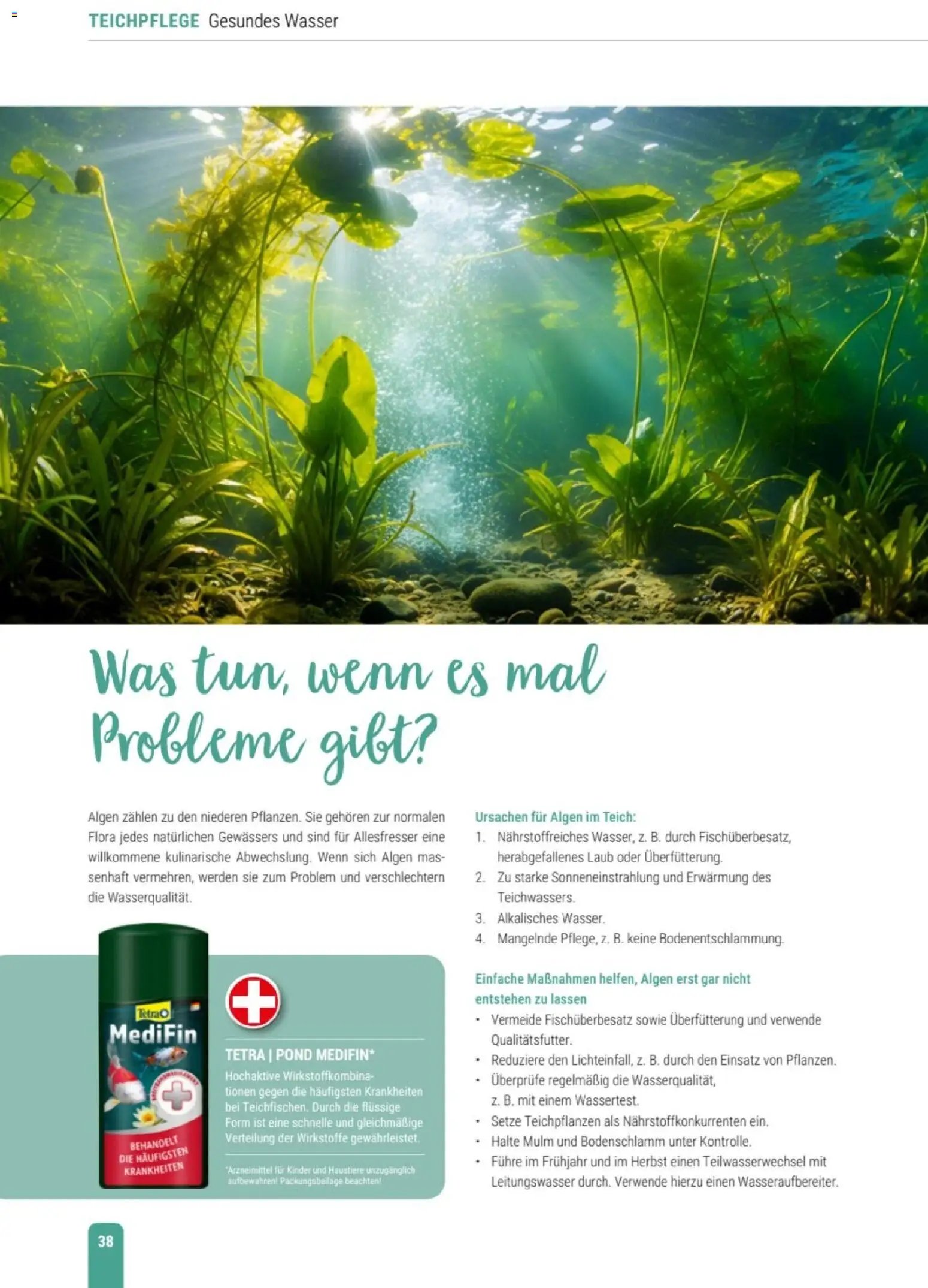 zookauf Themenkatalog Teich