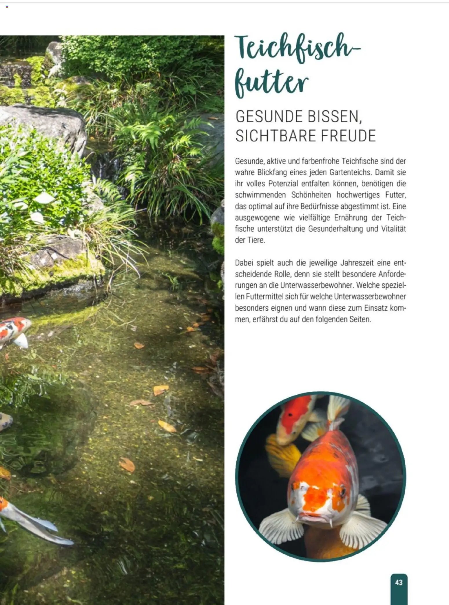 zookauf Themenkatalog Teich