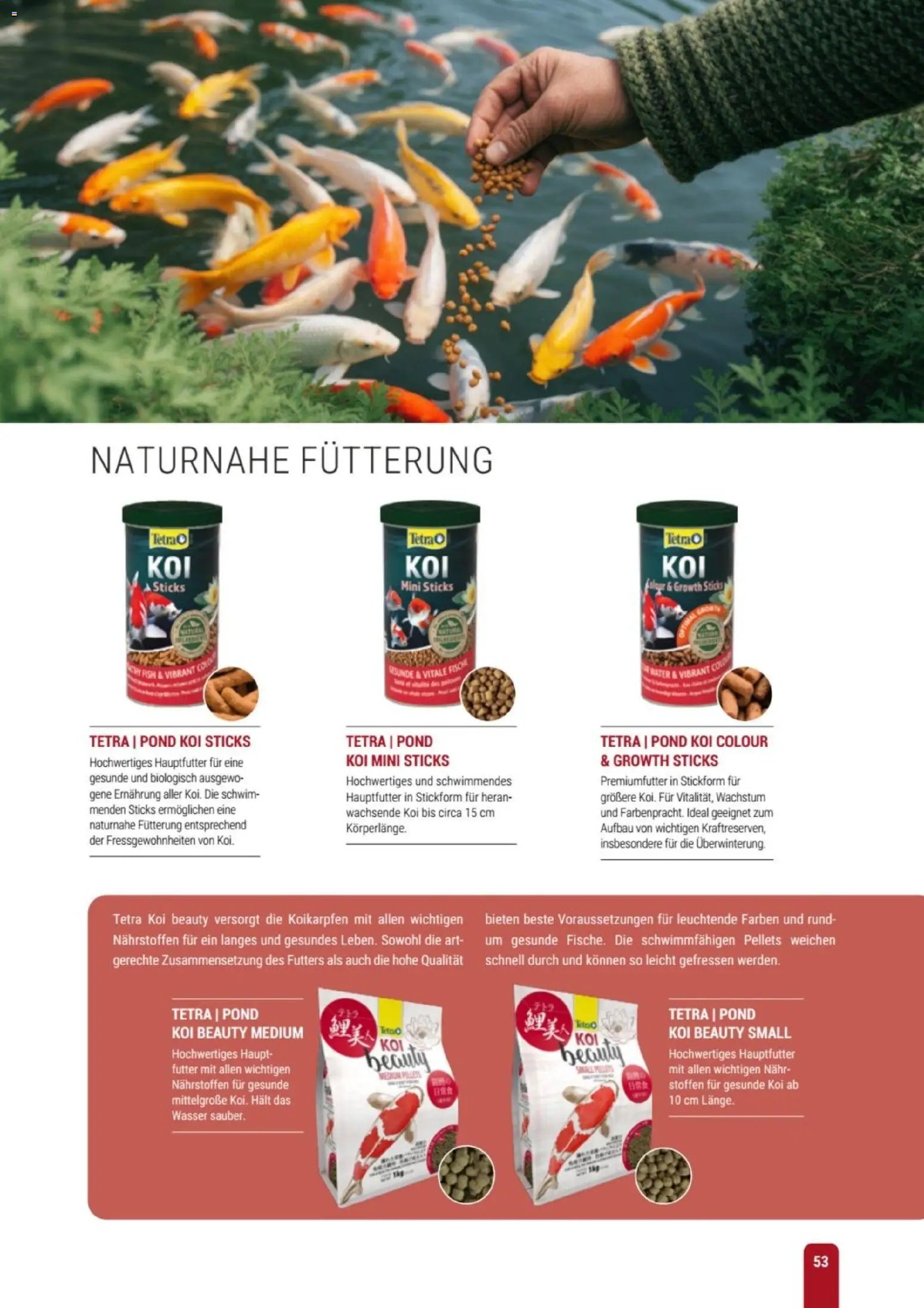 zookauf Themenkatalog Teich