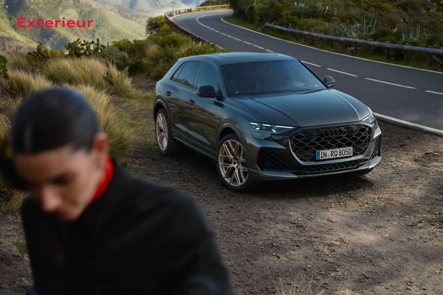 Audi RS Q8 / RS Q8 performance