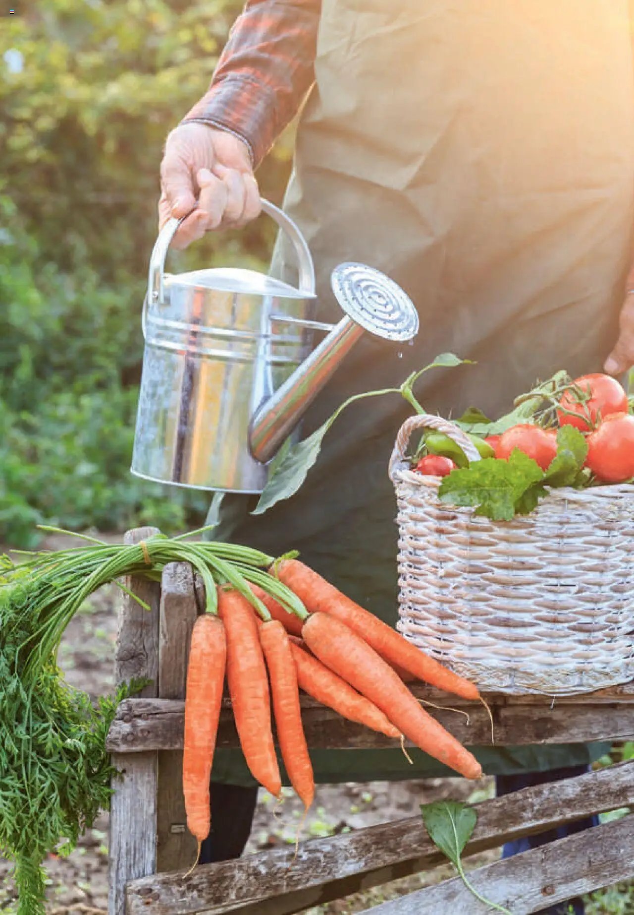 Dehner Gärtnern & Leben