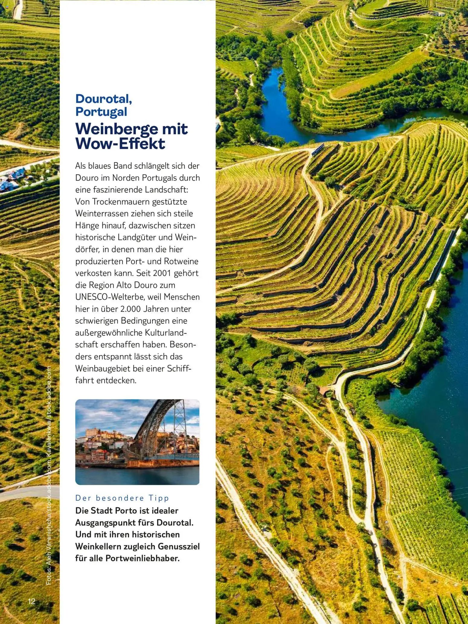 TUI Travel