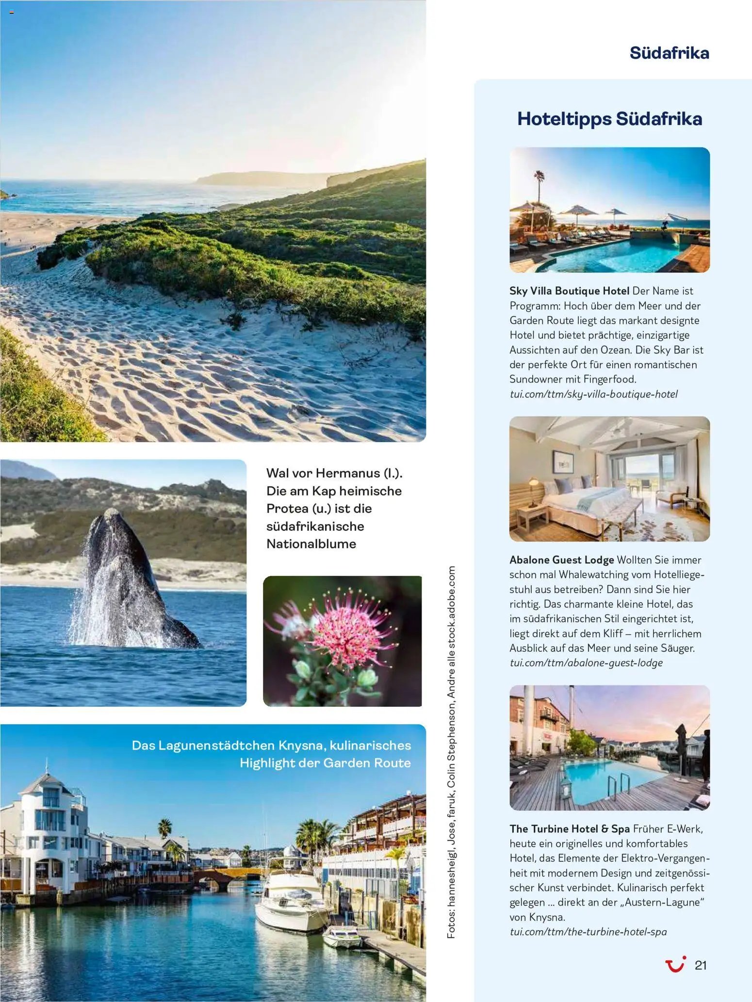 TUI Travel
