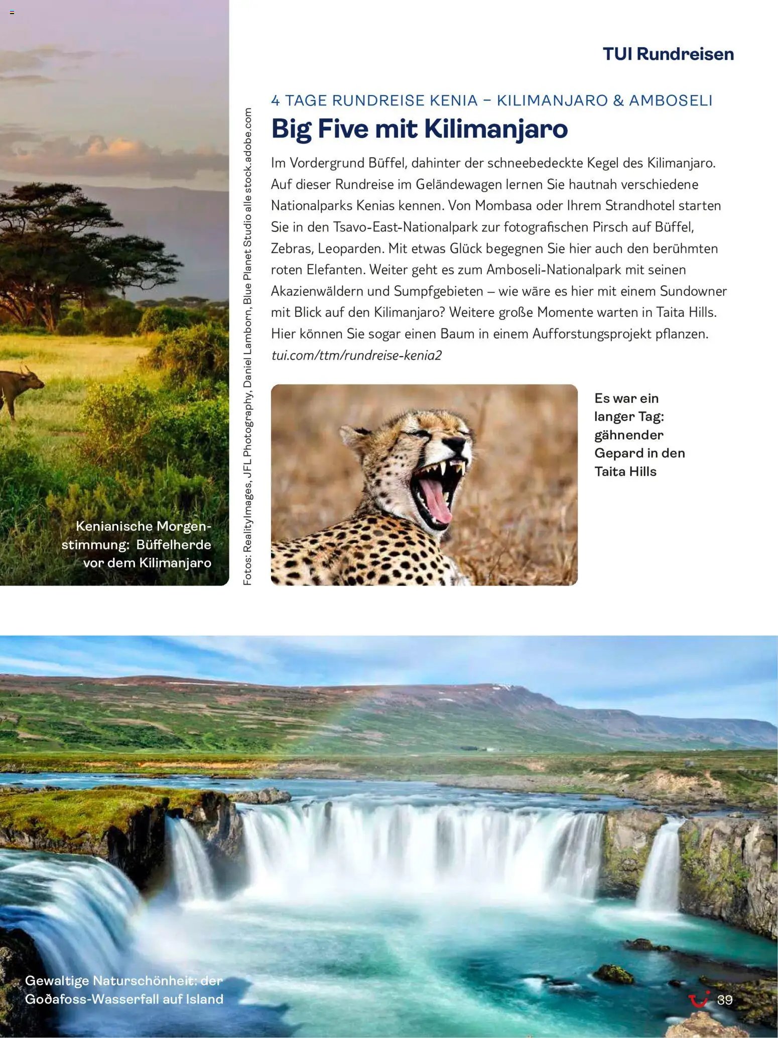 TUI Travel