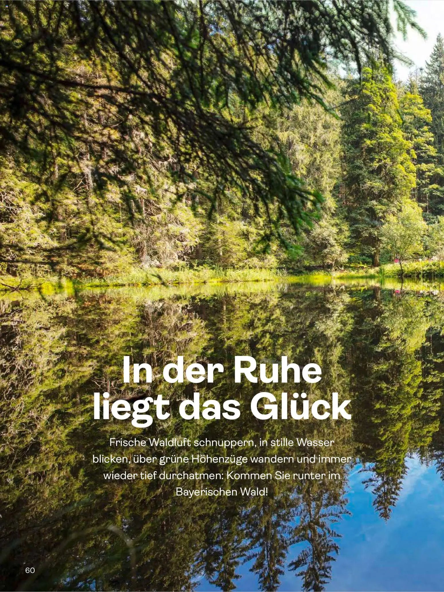 TUI Travel