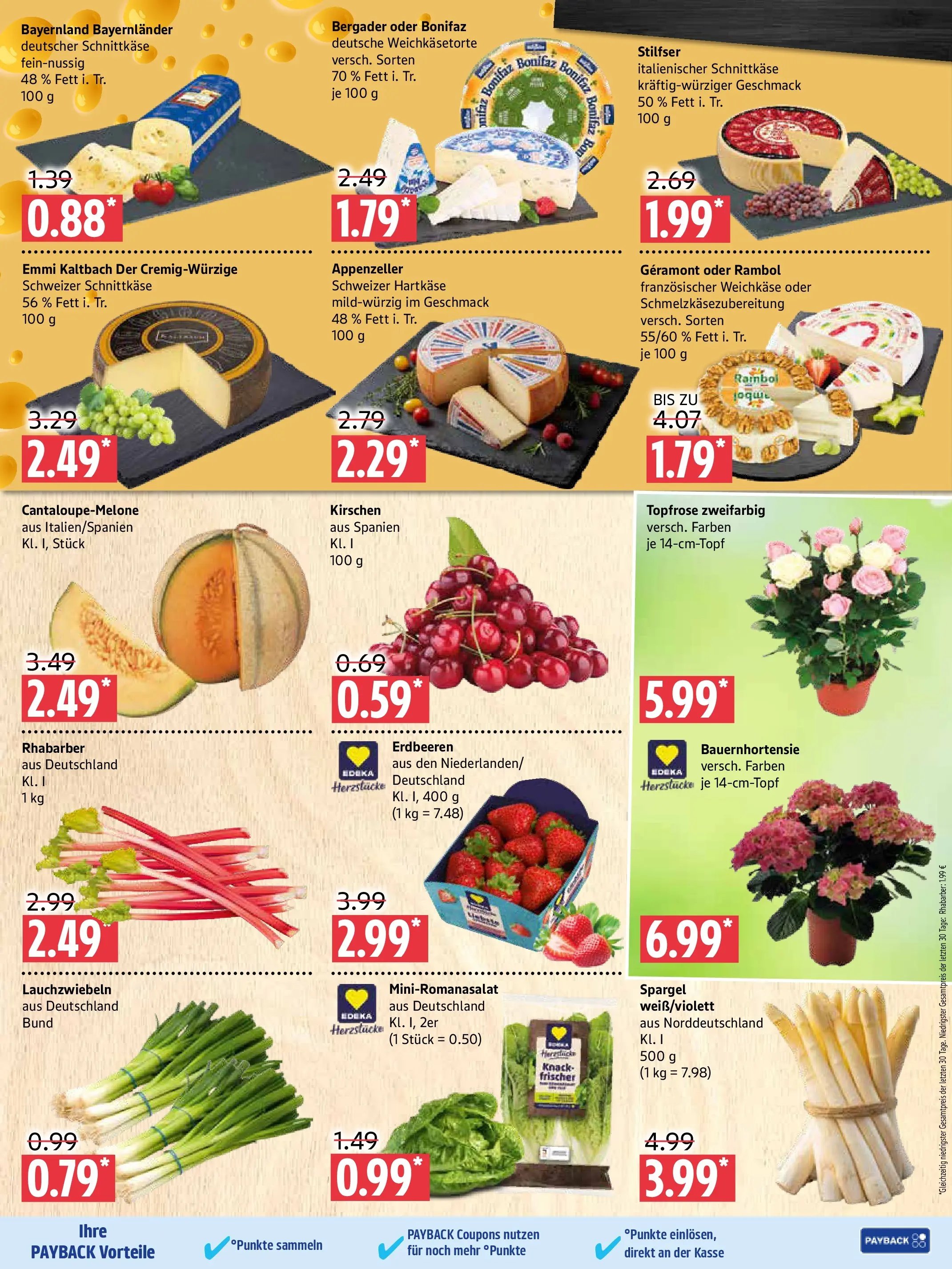 Marktkauf Prospekt Prenzlau